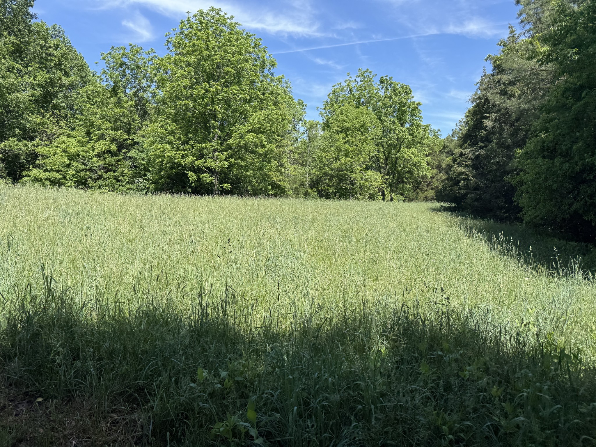335 Nelson Cemetery Road Monroe, TN 38573 - Photo 27 of 81