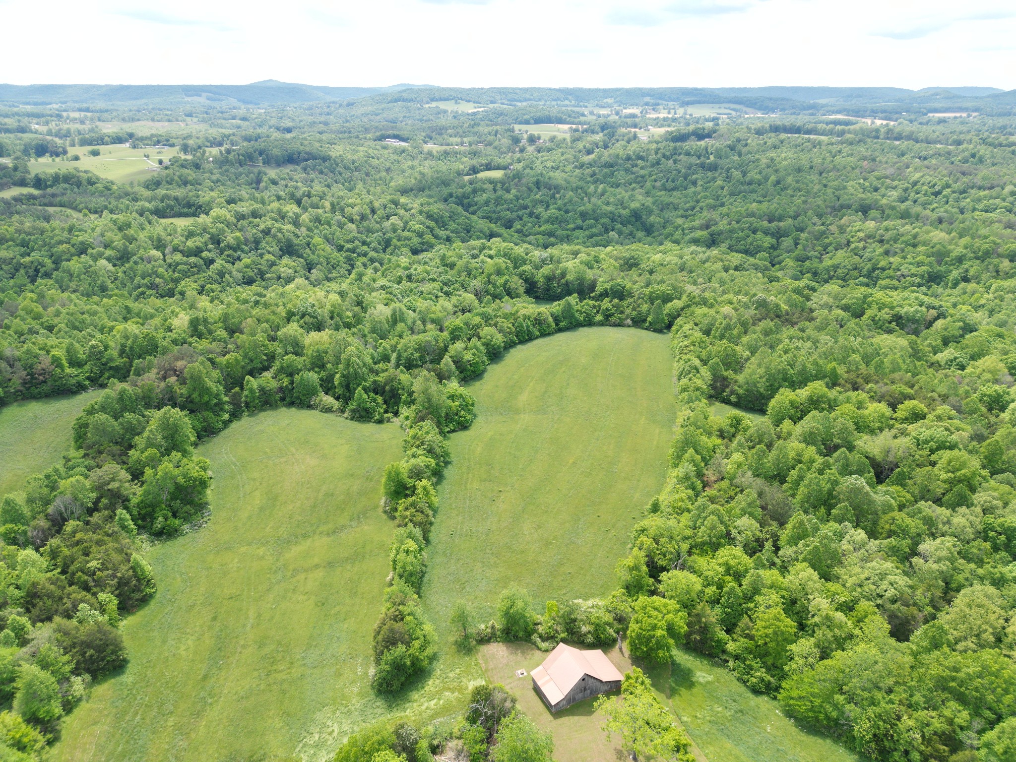 335 Nelson Cemetery Road Monroe, TN 38573 - Photo 29 of 81 a view of a forest with a sink