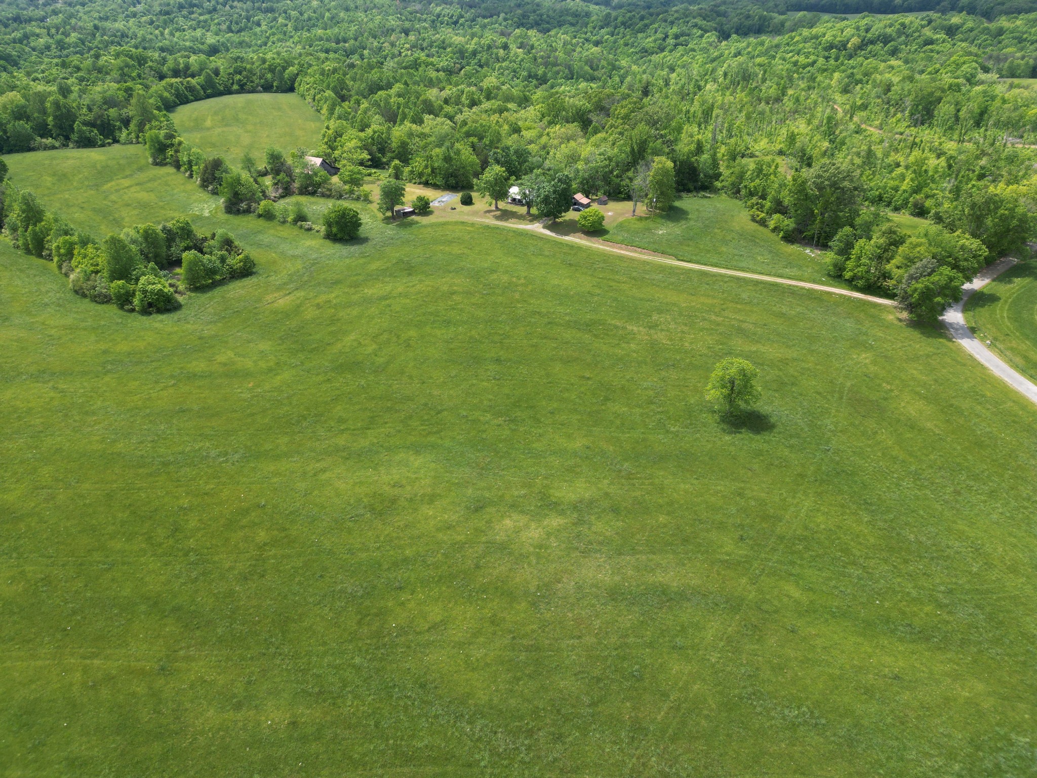 335 Nelson Cemetery Road Monroe, TN 38573 - Photo 31 of 81 a view of a green field