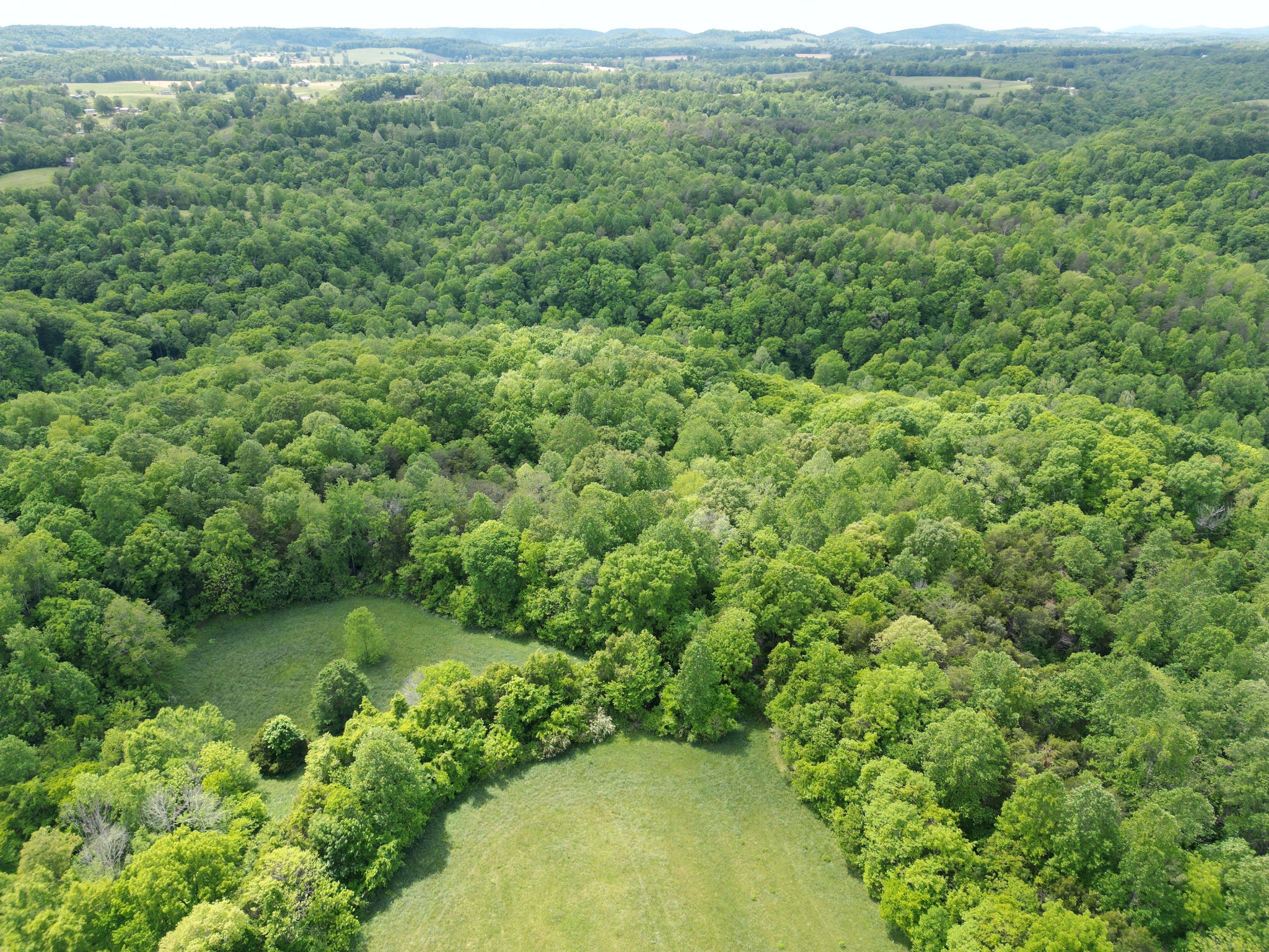 335 Nelson Cemetery Road Monroe, TN 38573 - Photo 32 of 81