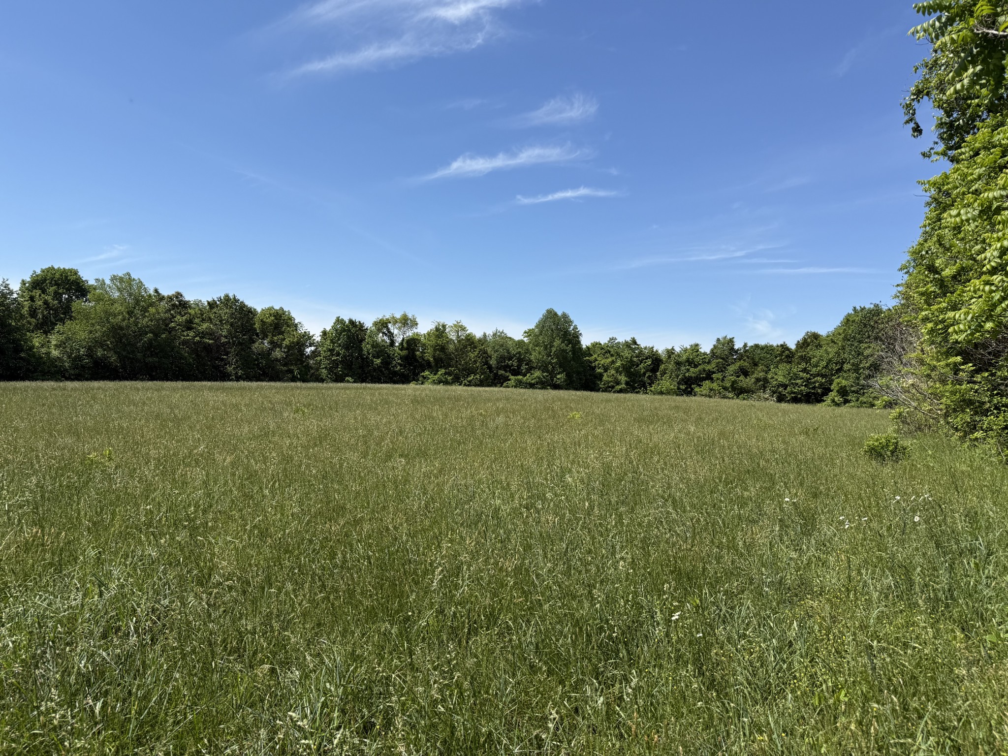 335 Nelson Cemetery Road Monroe, TN 38573 - Photo 36 of 81 a view of a field with an ocean