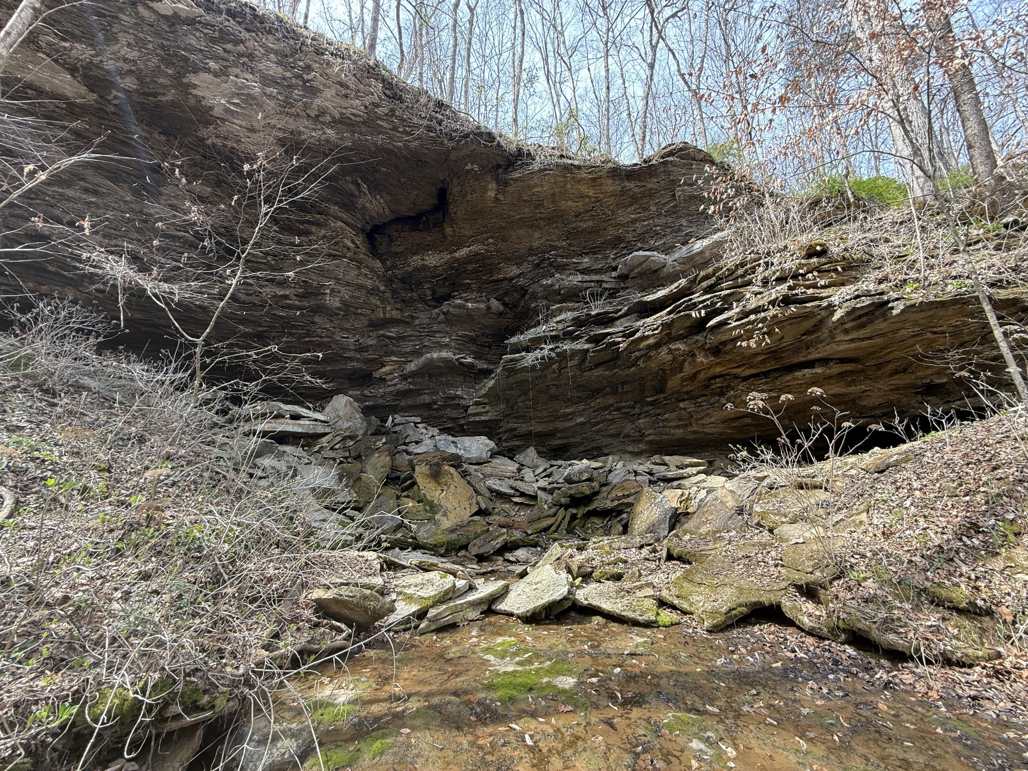335 Nelson Cemetery Road Monroe, TN 38573 - Photo 44 of 81