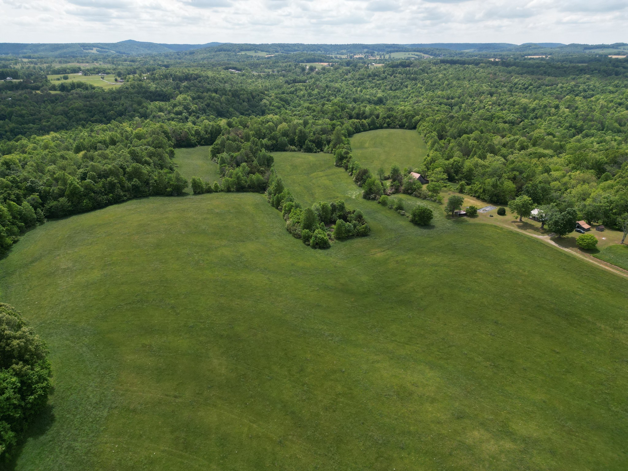 335 Nelson Cemetery Road Monroe, TN 38573 - Photo 47 of 81 a view of a lush green forest with trees and houses