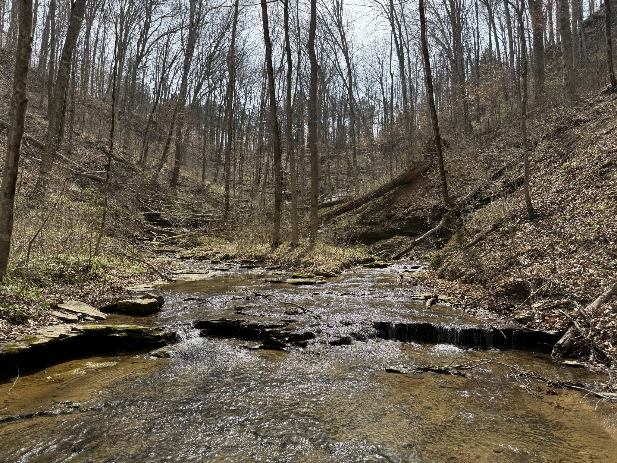335 Nelson Cemetery Road Monroe, TN 38573 - Photo 49 of 81