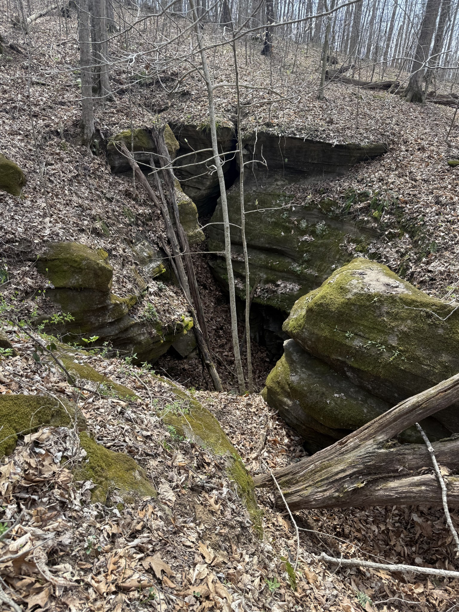 335 Nelson Cemetery Road Monroe, TN 38573 - Photo 50 of 81