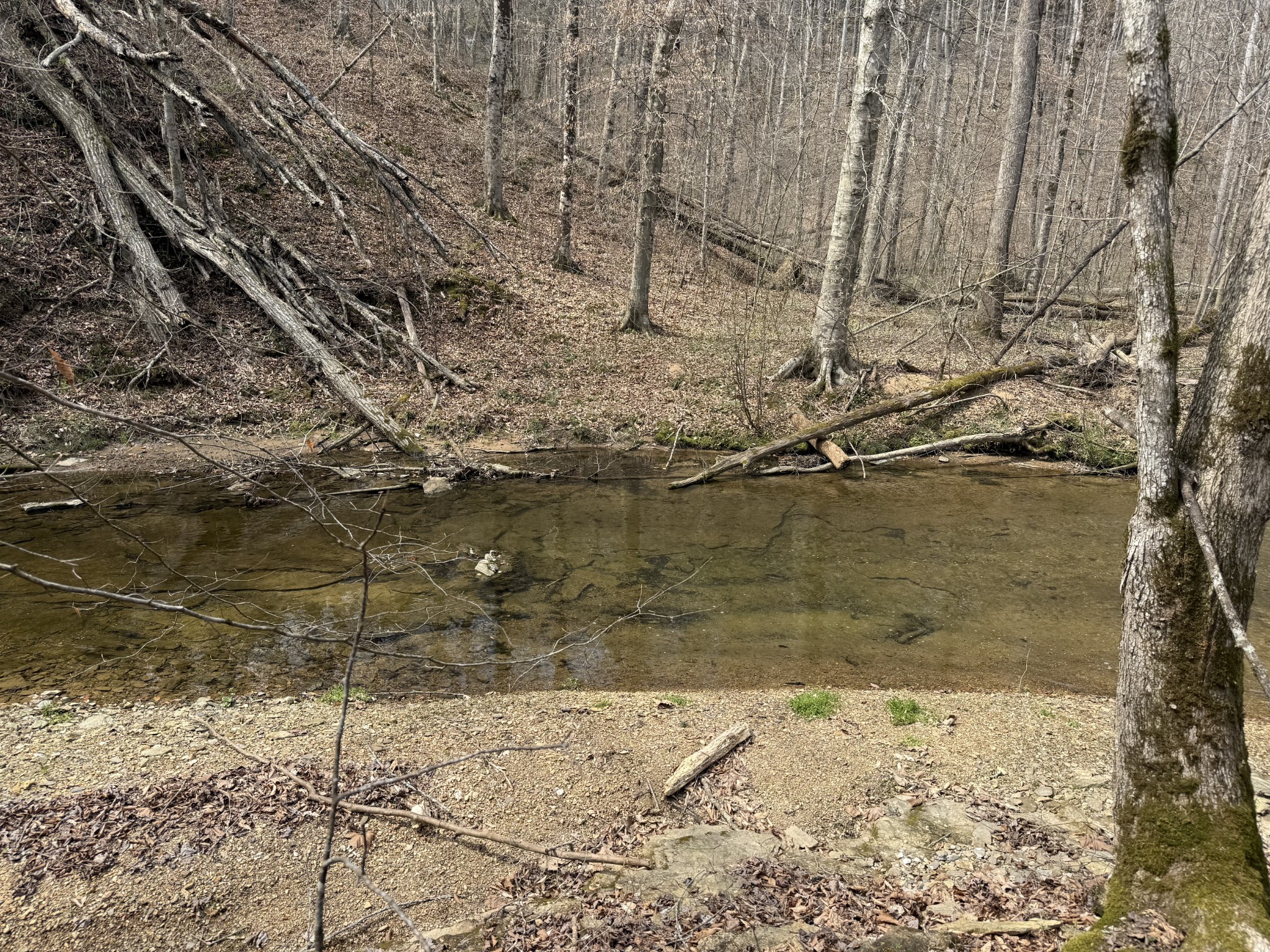 335 Nelson Cemetery Road Monroe, TN 38573 - Photo 52 of 81