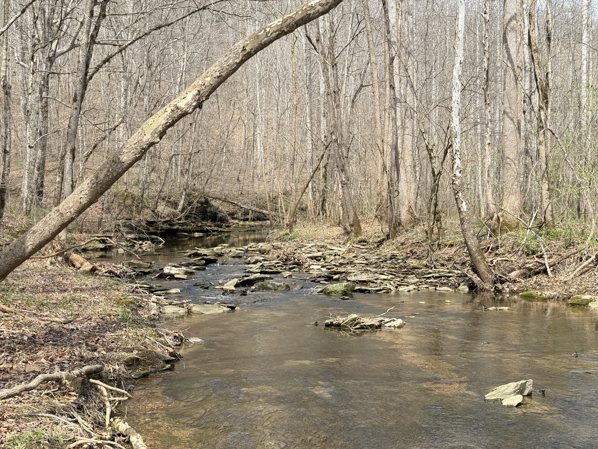 335 Nelson Cemetery Road Monroe, TN 38573 - Photo 55 of 81