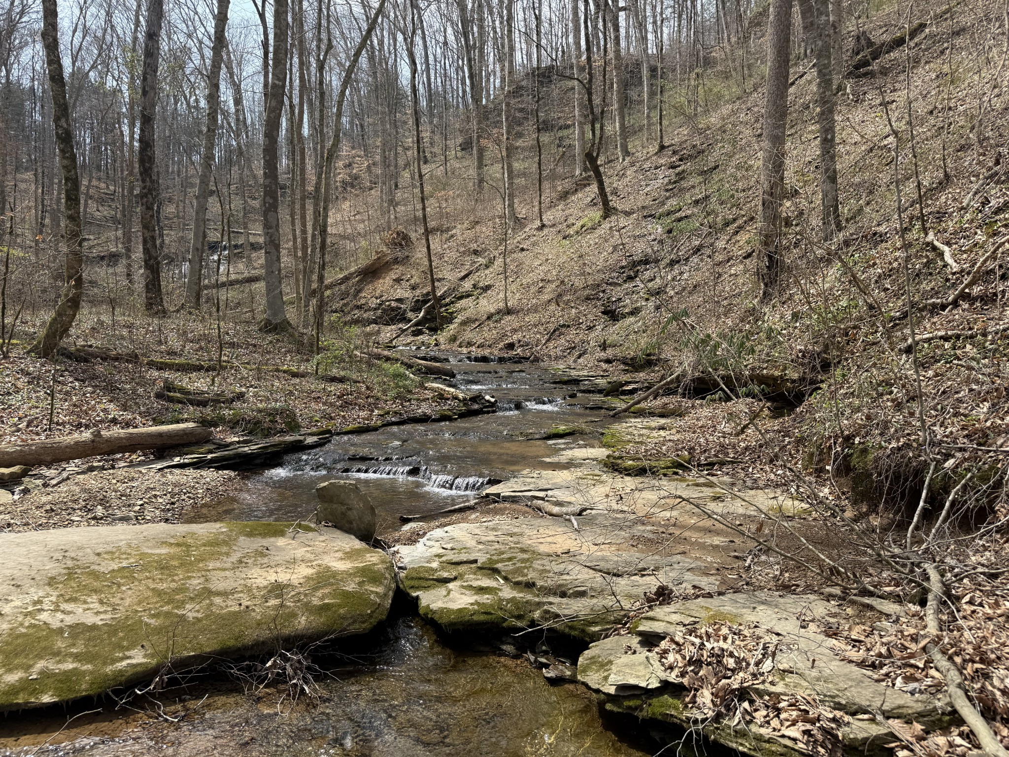 335 Nelson Cemetery Road Monroe, TN 38573 - Photo 56 of 81
