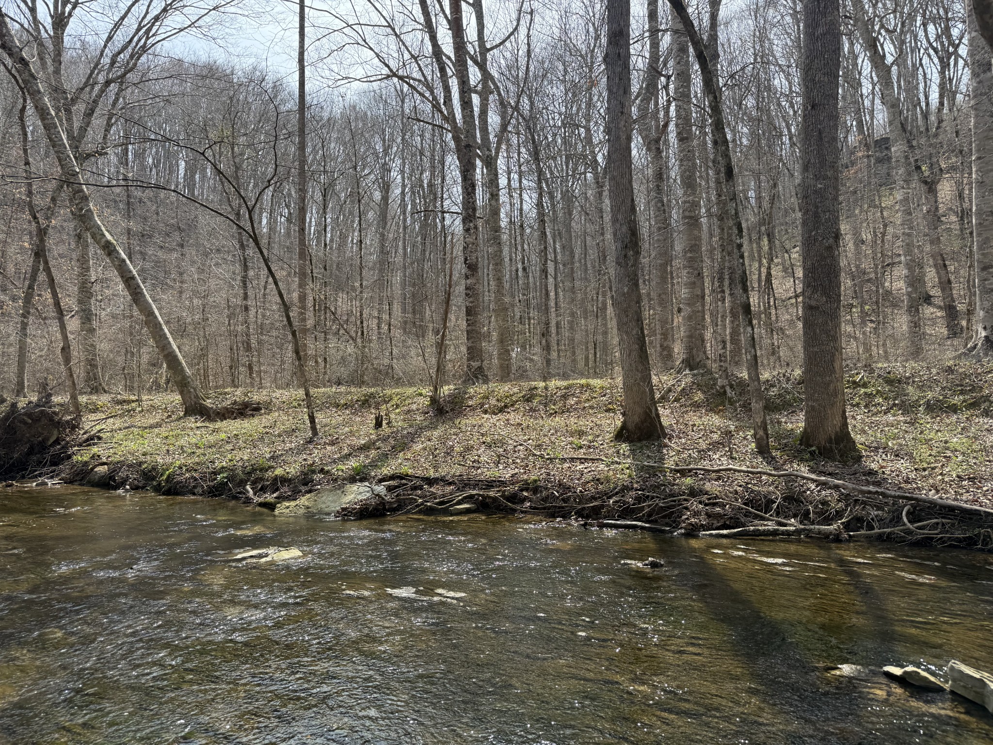 335 Nelson Cemetery Road Monroe, TN 38573 - Photo 60 of 81