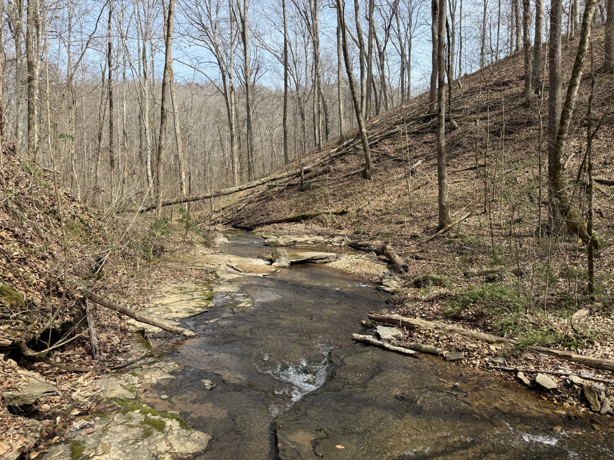 335 Nelson Cemetery Road Monroe, TN 38573 - Photo 63 of 81 a view of a pathway with a yard