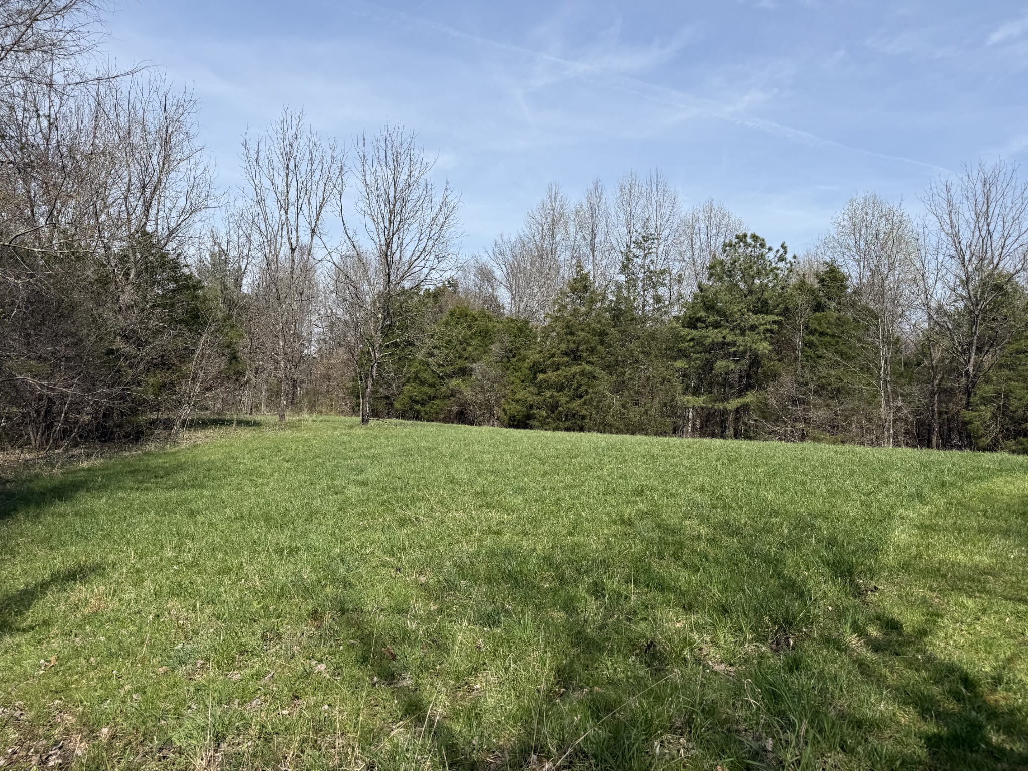335 Nelson Cemetery Road Monroe, TN 38573 - Photo 64 of 81
