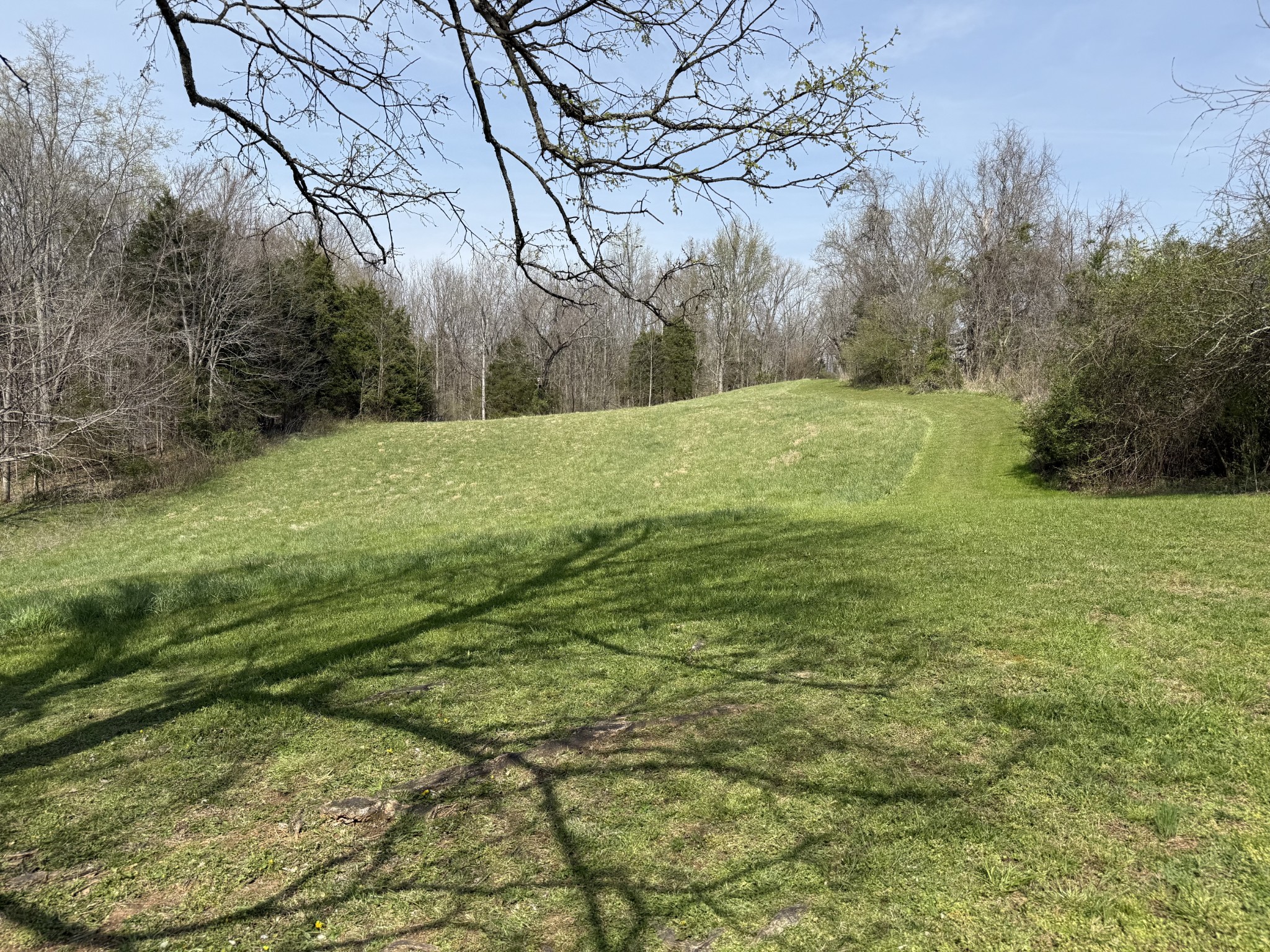 335 Nelson Cemetery Road Monroe, TN 38573 - Photo 67 of 81