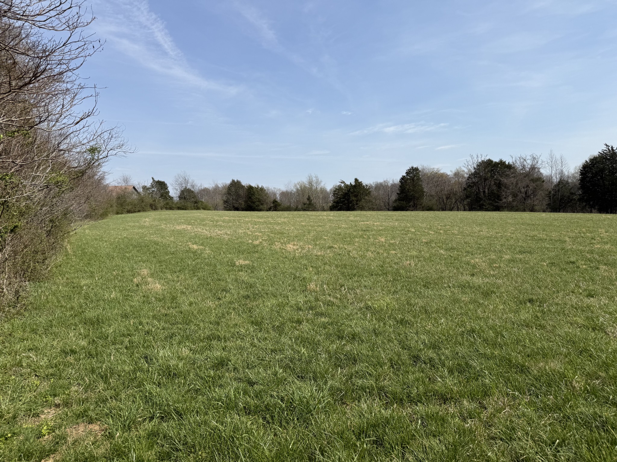 335 Nelson Cemetery Road Monroe, TN 38573 - Photo 72 of 81 a view of an outdoor space and yard