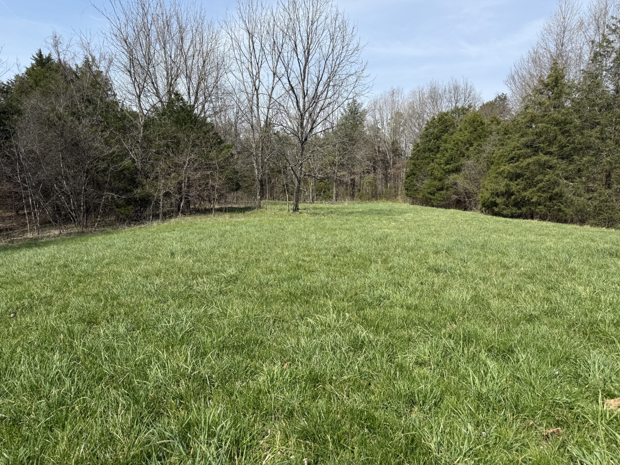335 Nelson Cemetery Road Monroe, TN 38573 - Photo 76 of 81