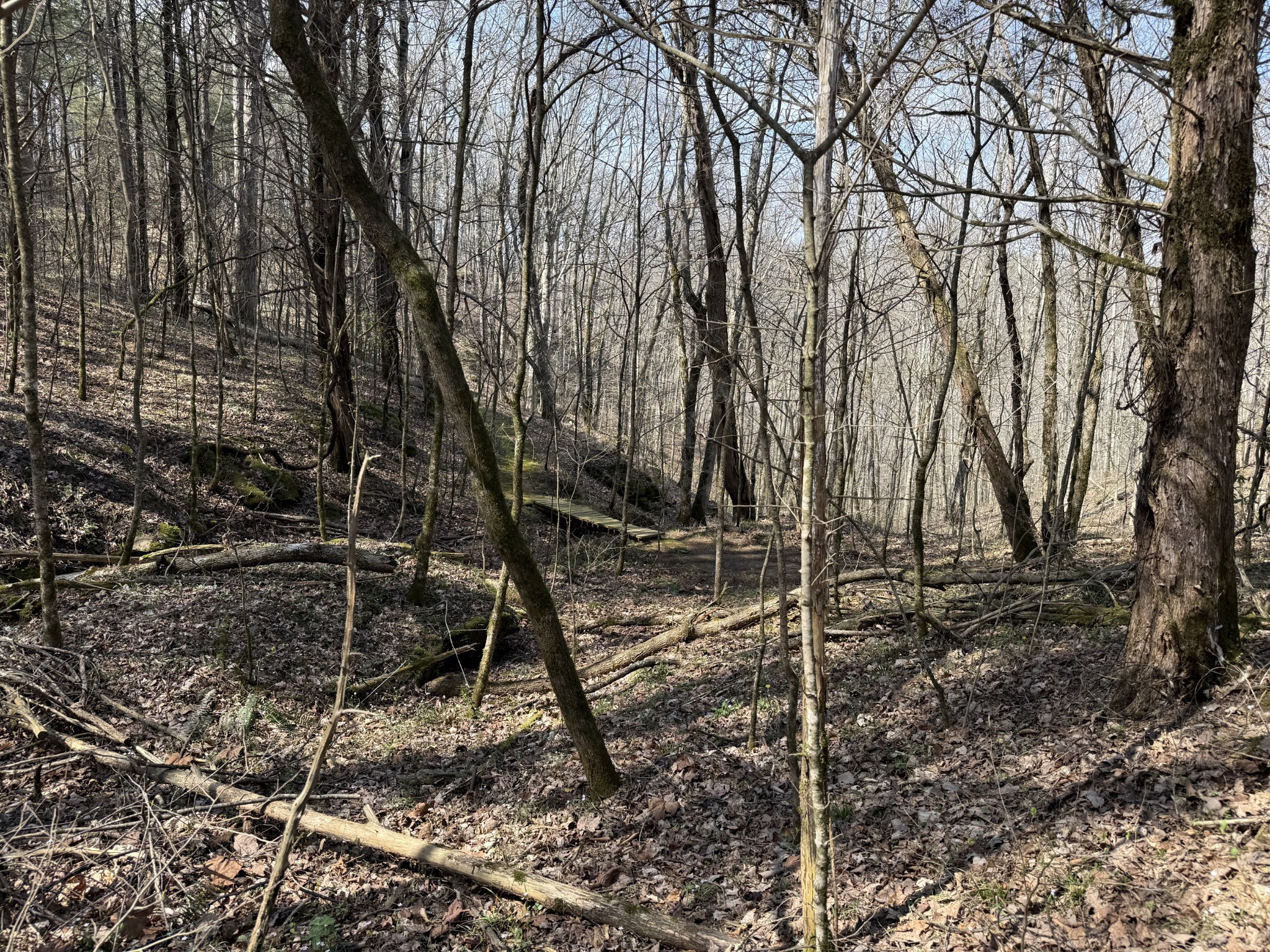 335 Nelson Cemetery Road Monroe, TN 38573 - Photo 77 of 81 a backyard of a house with lots of green space