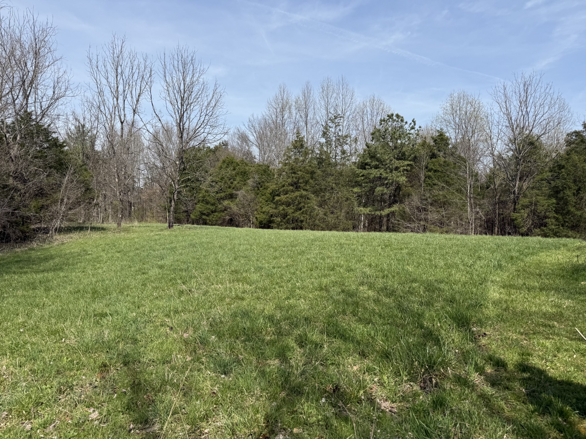 335 Nelson Cemetery Road Monroe, TN 38573 - Photo 79 of 81 a view of a field of grass and trees