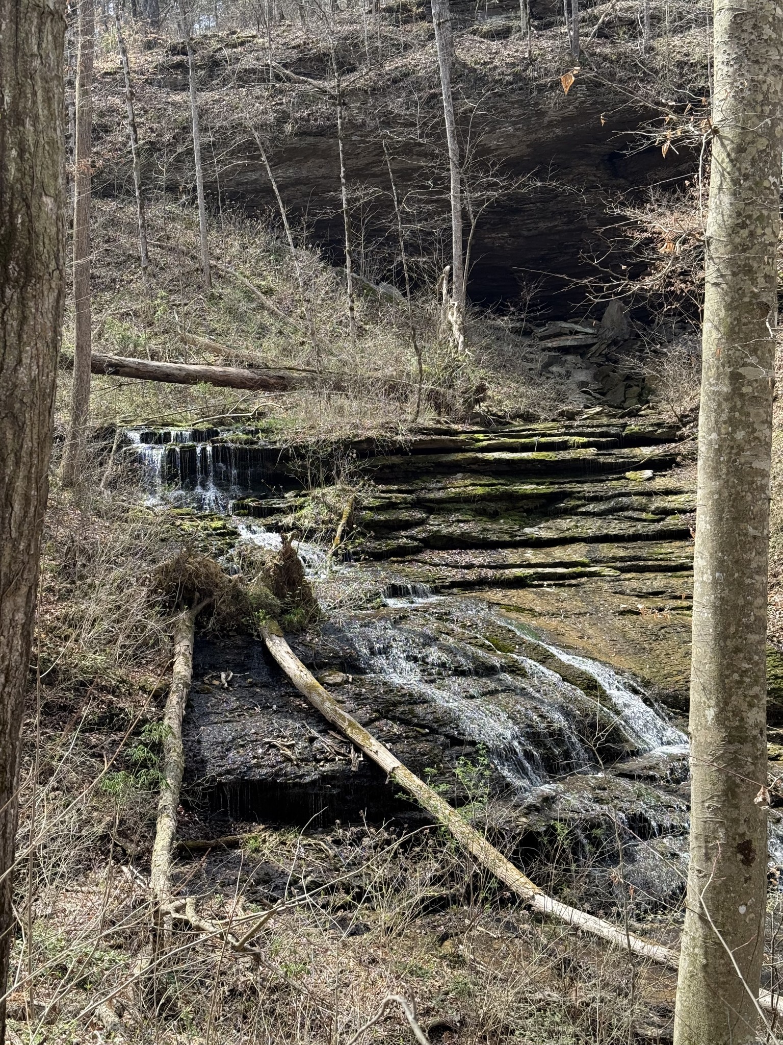 335 Nelson Cemetery Road Monroe, TN 38573 - Photo 81 of 81