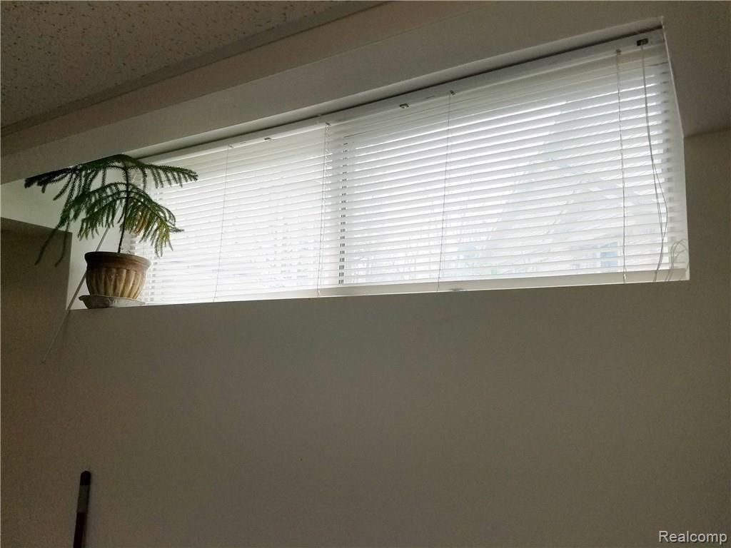 29667 Reed Drive Flat Rock, MI 48134 - Photo 36 of 41 34Reed Bsmt Window.jpg