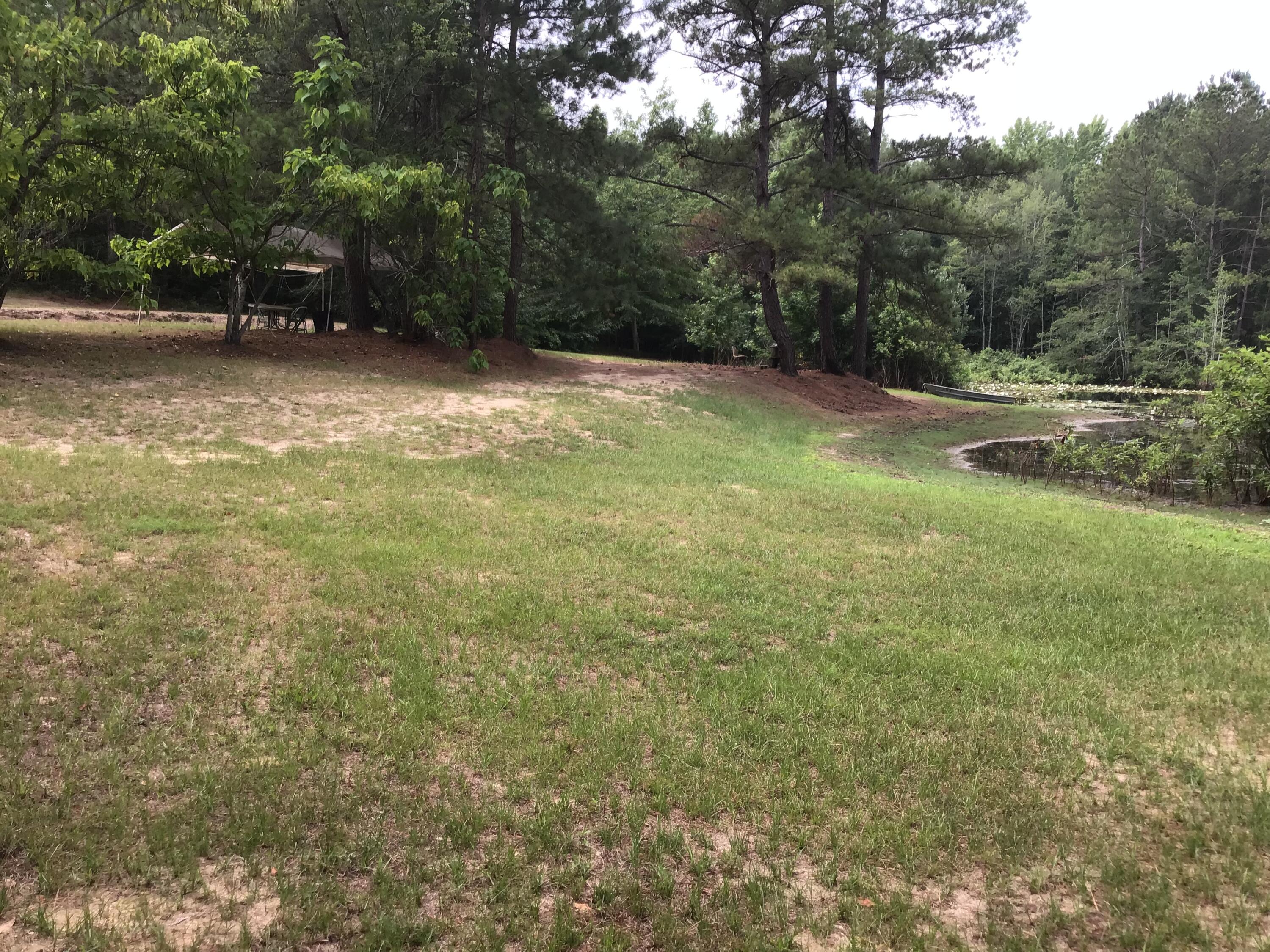 47 Peele Road Salley, SC 29137 - Photo 50 of 95