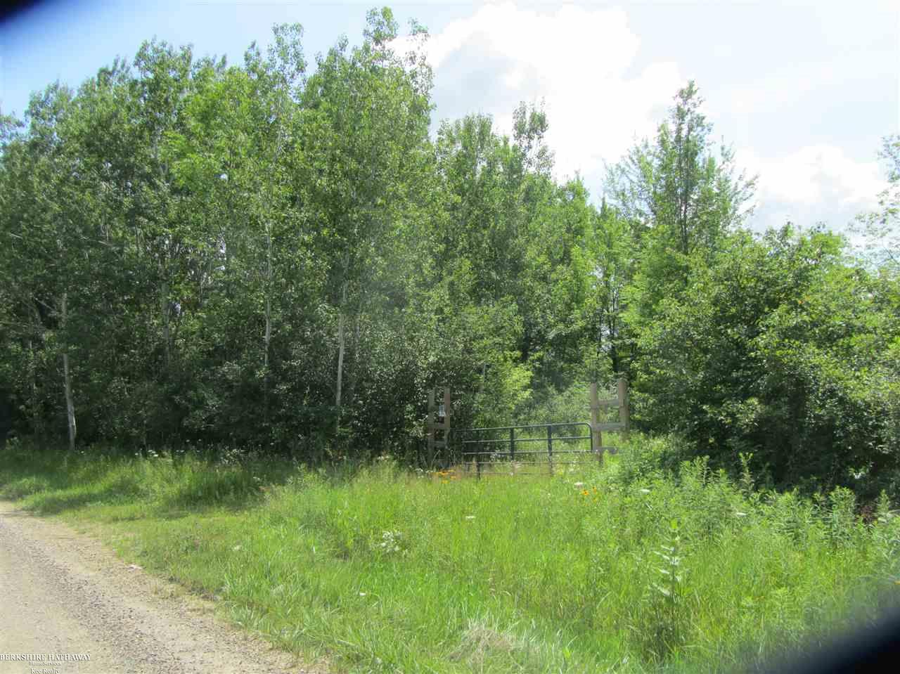 0 West Wellman Line Road Yale, MI 48097 - Photo 6 of 10