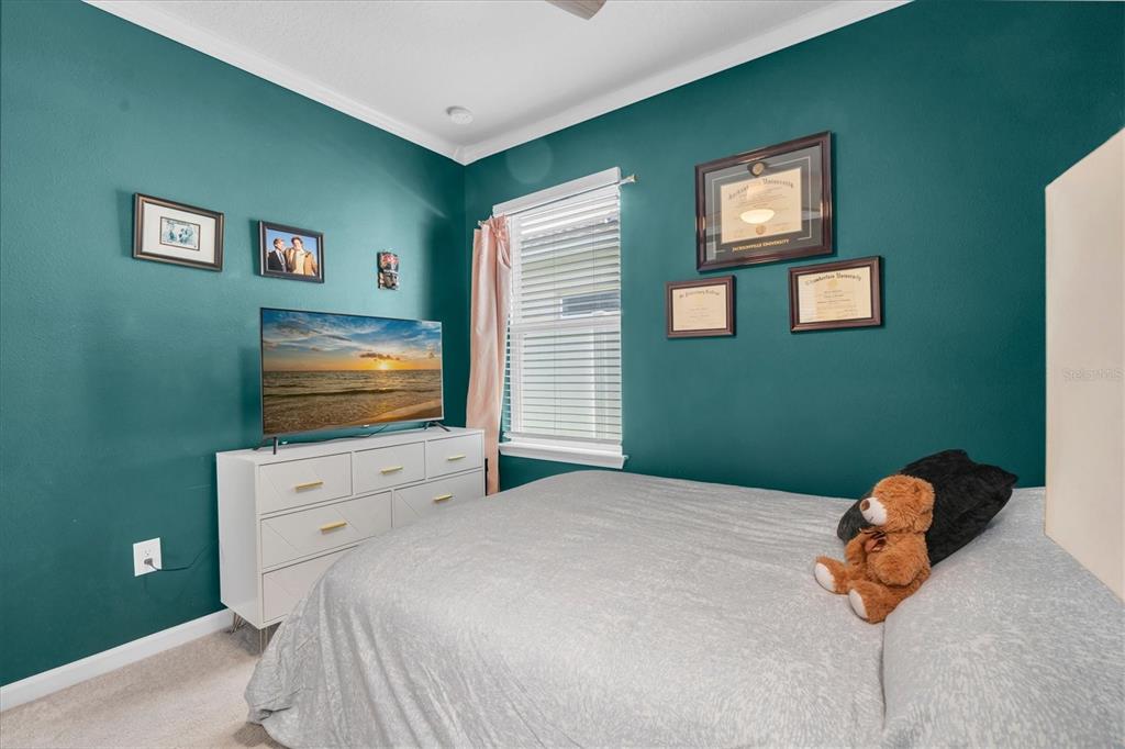 8867 Prairie Creek Drive Trinity, FL 34655 - Photo 21 of 38