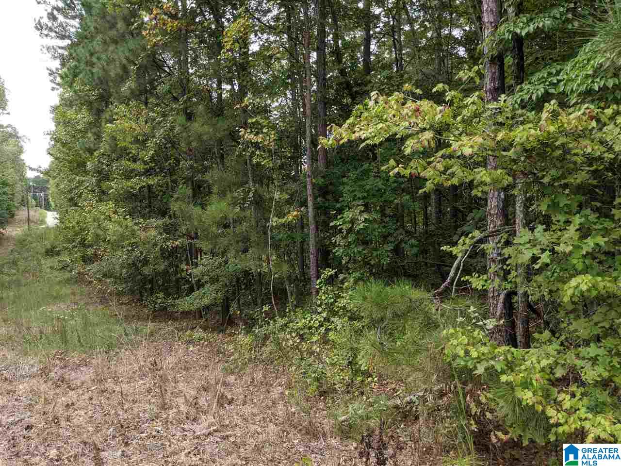 0 Smith Avenue, Unit 3 2 Anniston, AL 36207 - Photo 3 of 43