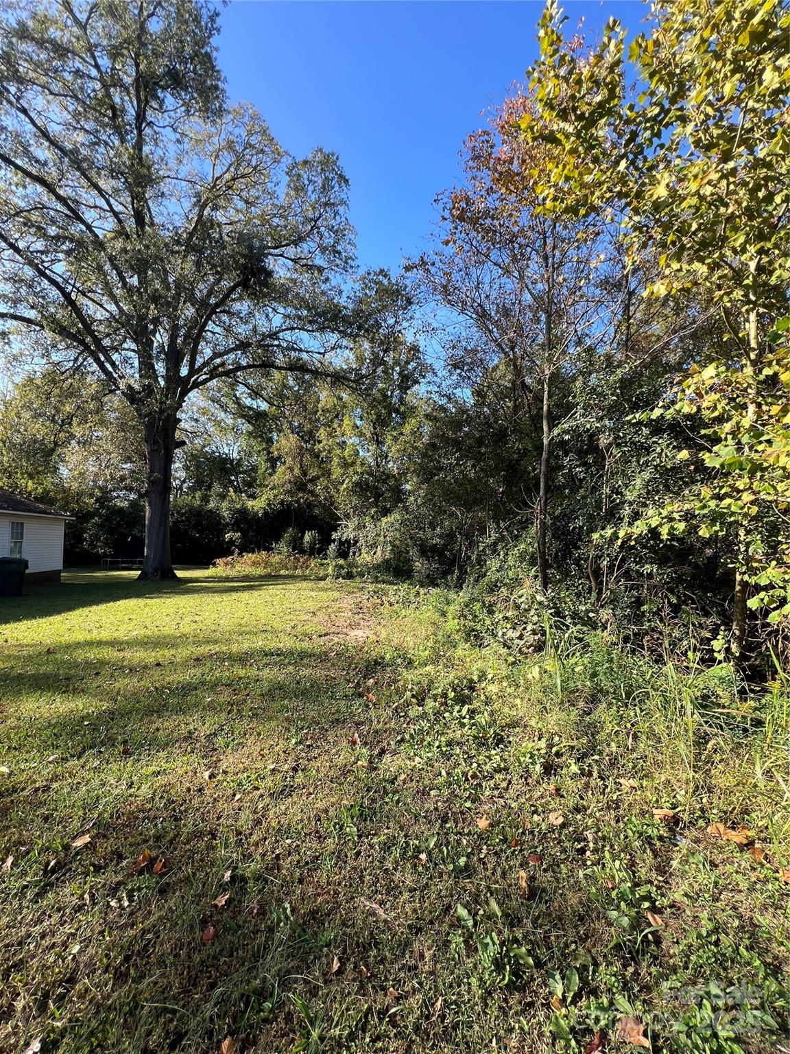 368 Chestnut Street Rock Hill, SC 29730 - Photo 3 of 4