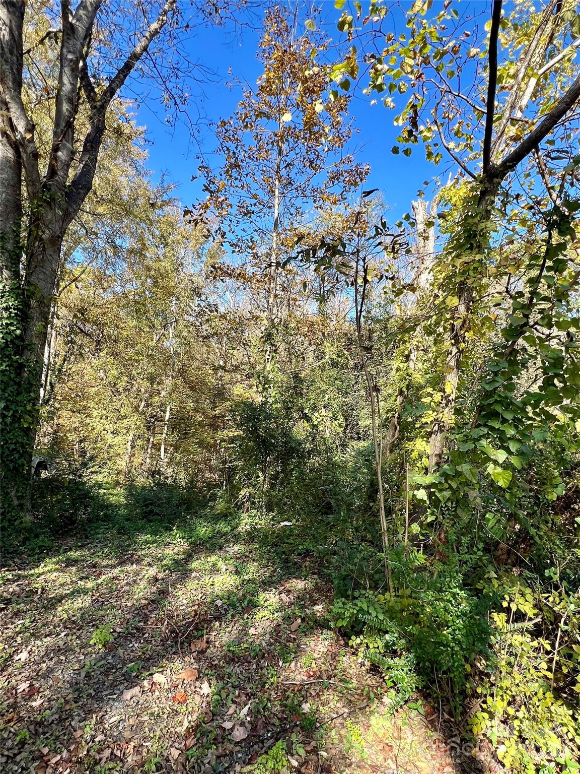 368 Chestnut Street Rock Hill, SC 29730 - Photo 4 of 4