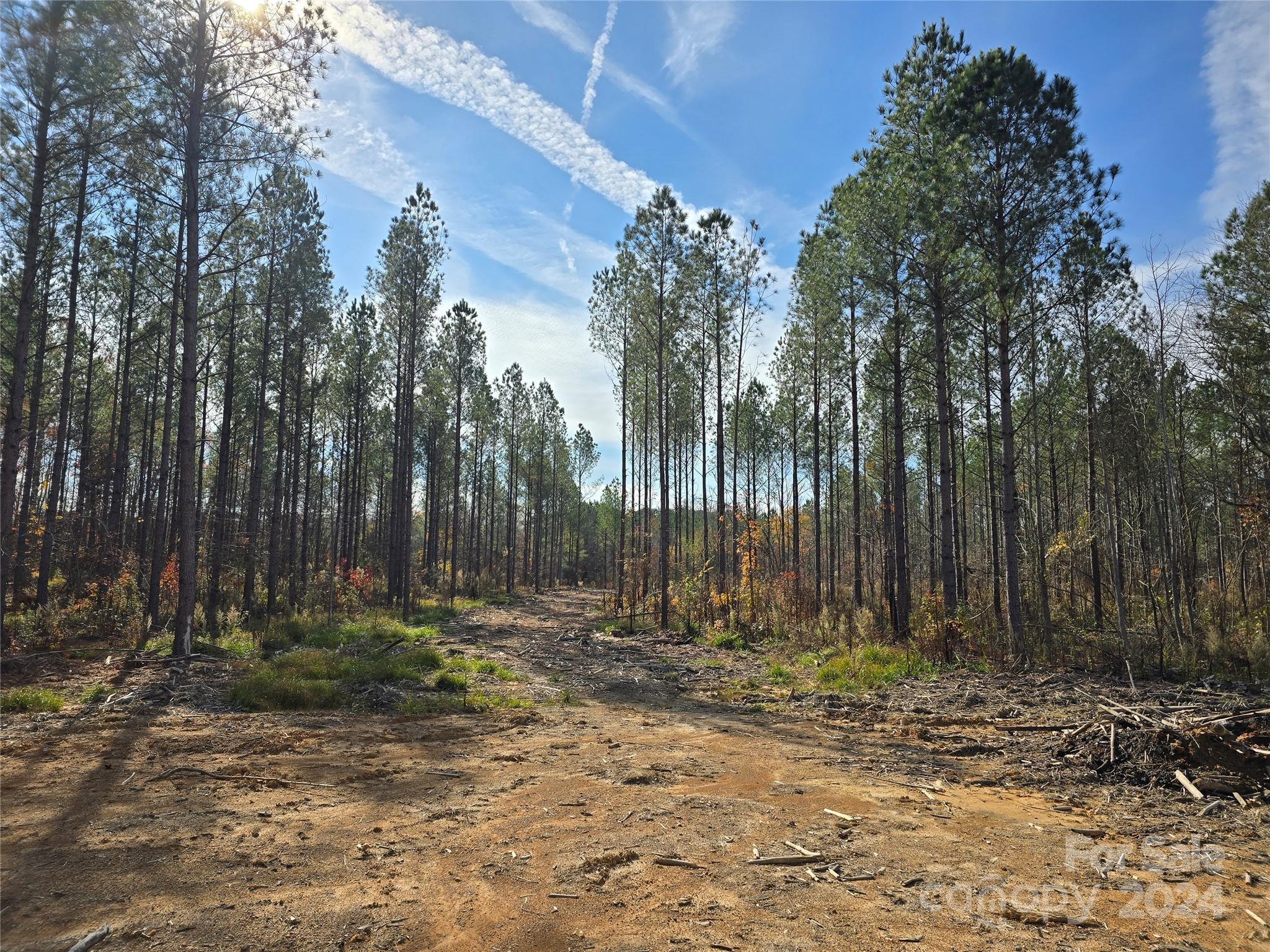 Lot 2 Raggle Road Gold Hill, NC 28071 - Photo 1 of 4 Gallery Image 1