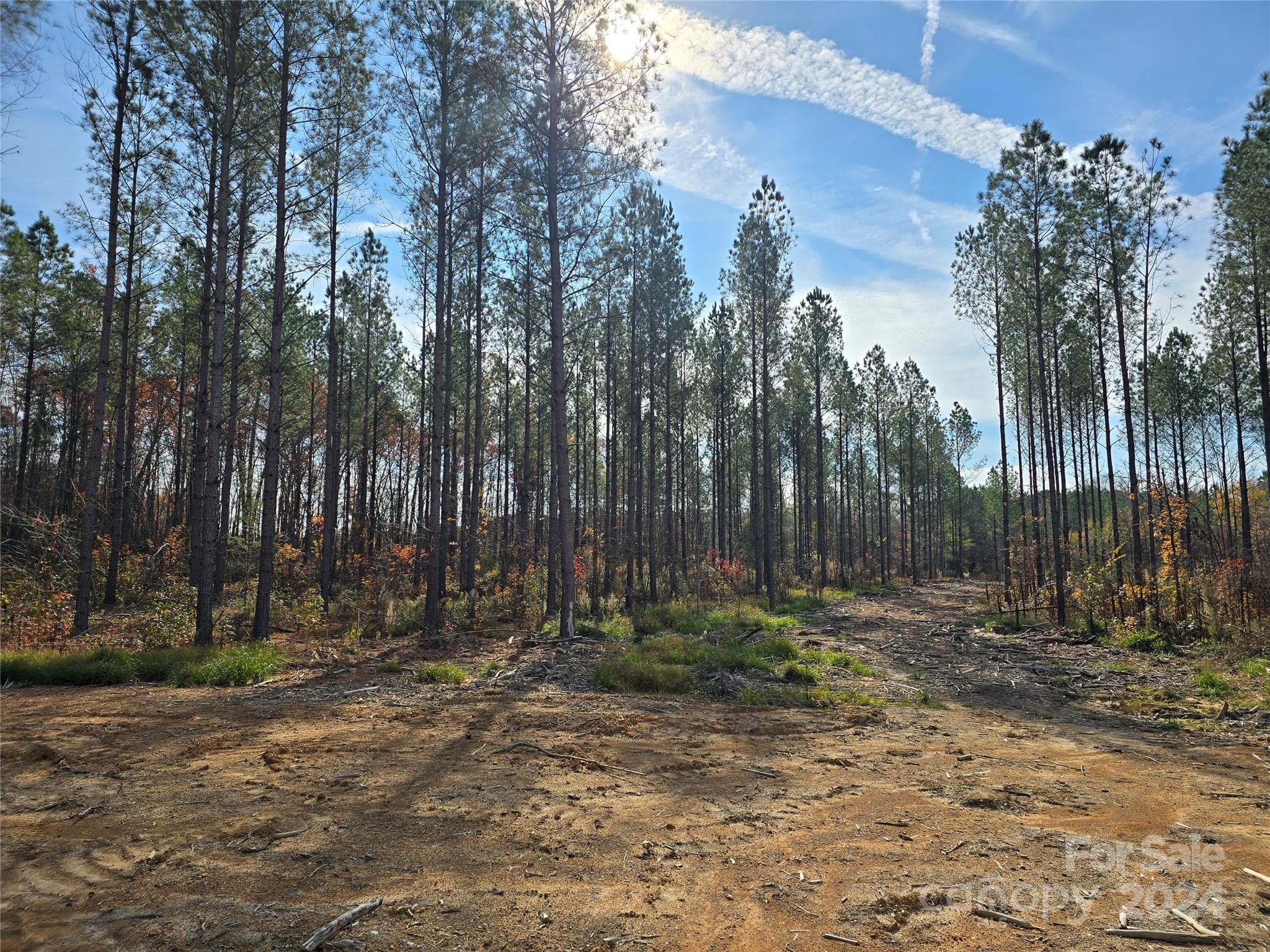 Lot 2 Raggle Road Gold Hill, NC 28071 - Photo 3 of 4 Gallery Image 3