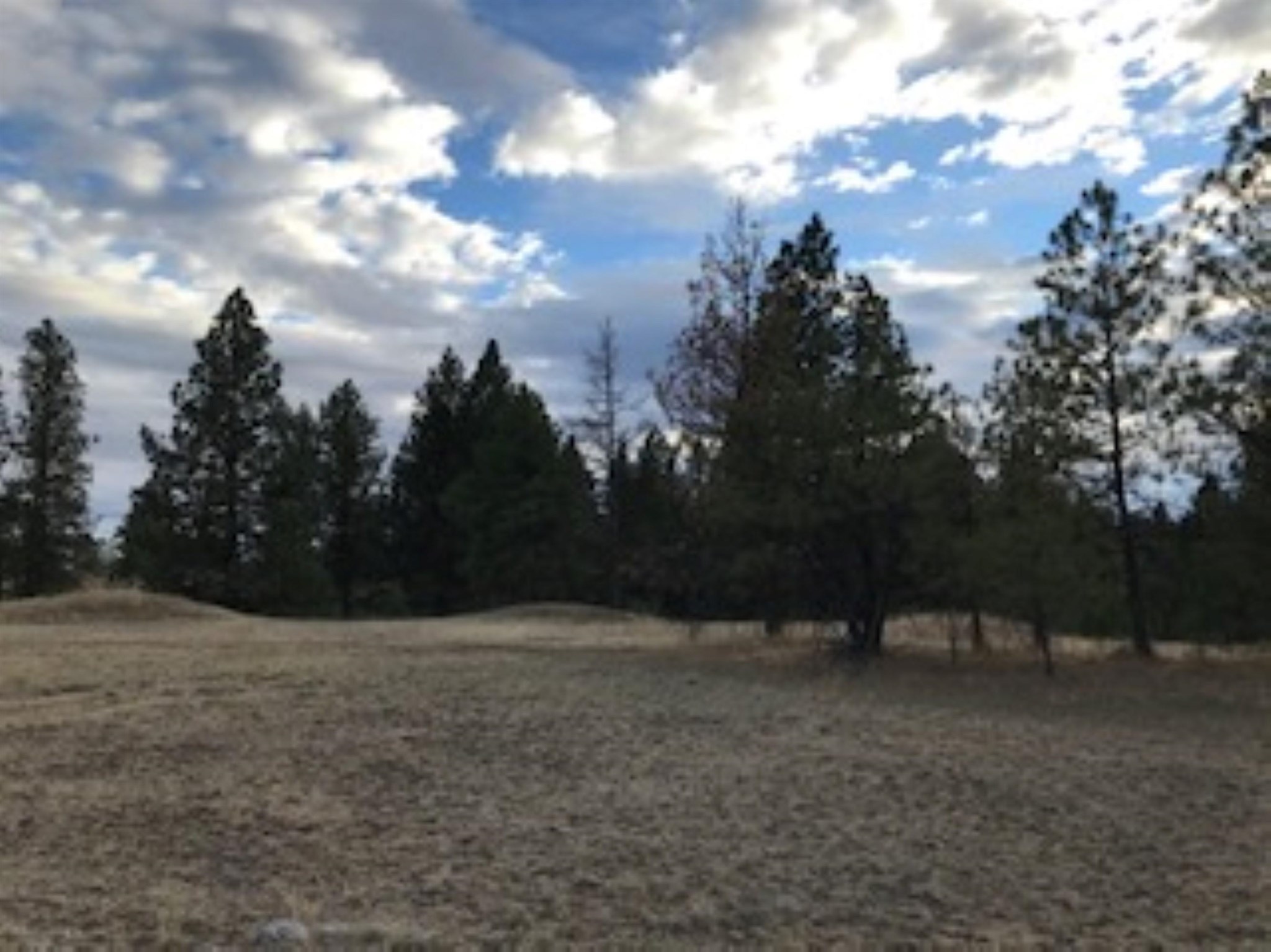 Xxx West Williams Lake Road, Unit LOT F Cheney, WA 99004 - Photo 2 of 4 Gallery Image 2