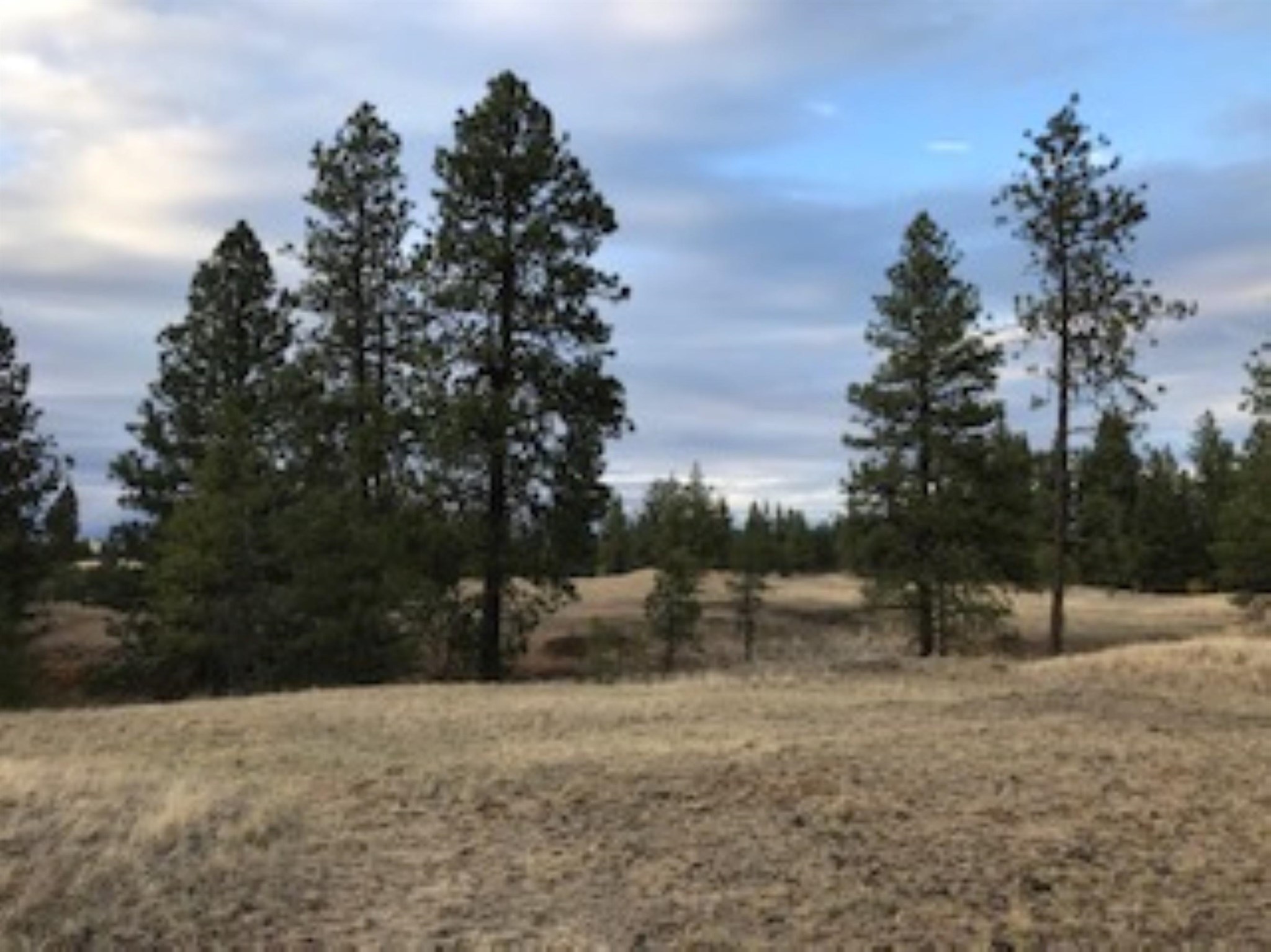 Xxx West Williams Lake Road, Unit LOT F Cheney, WA 99004 - Photo 3 of 4 Gallery Image 3
