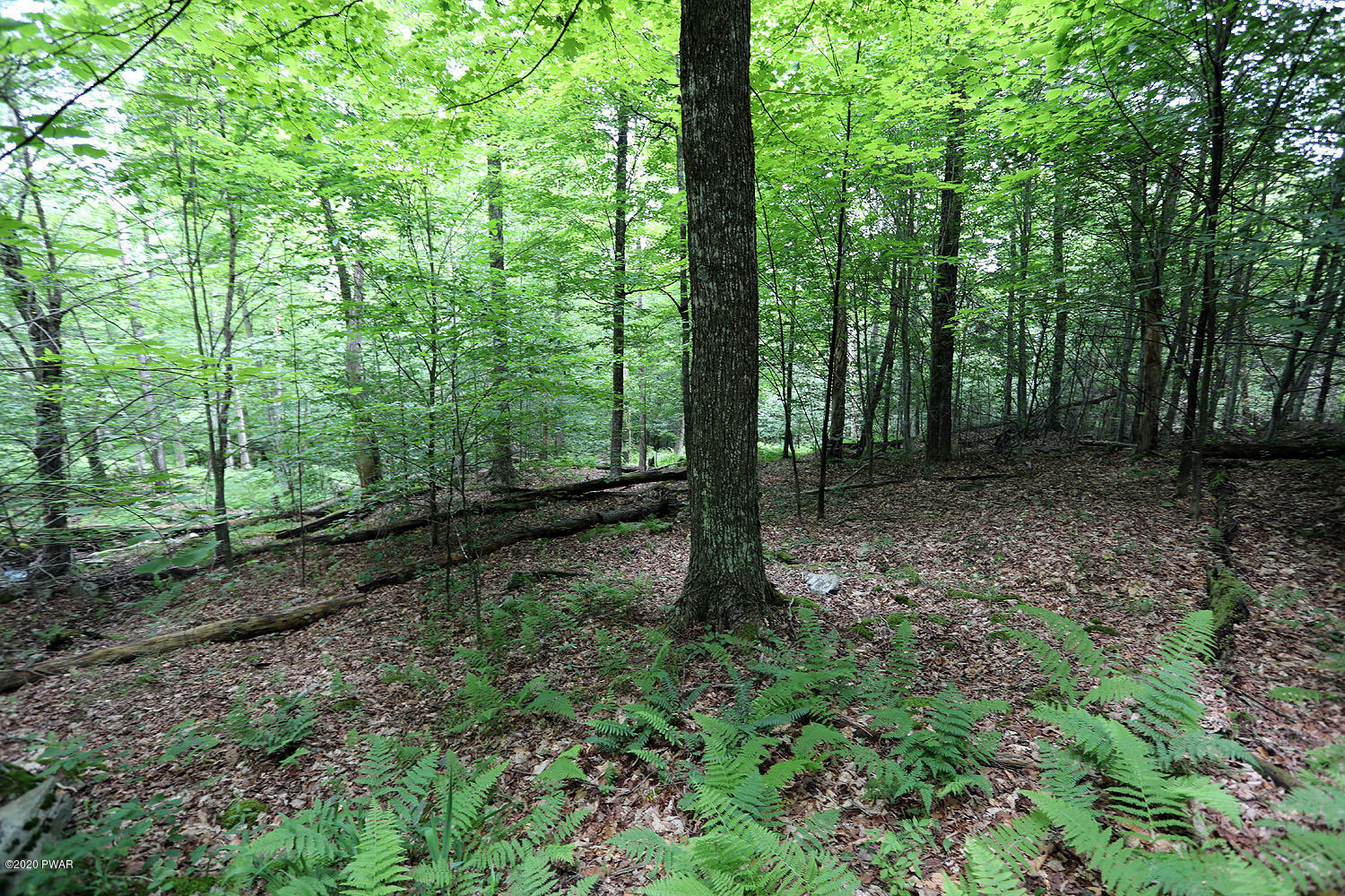 0 Minckler Mountain Road Equinunk, PA 18417 - Photo 6 of 39