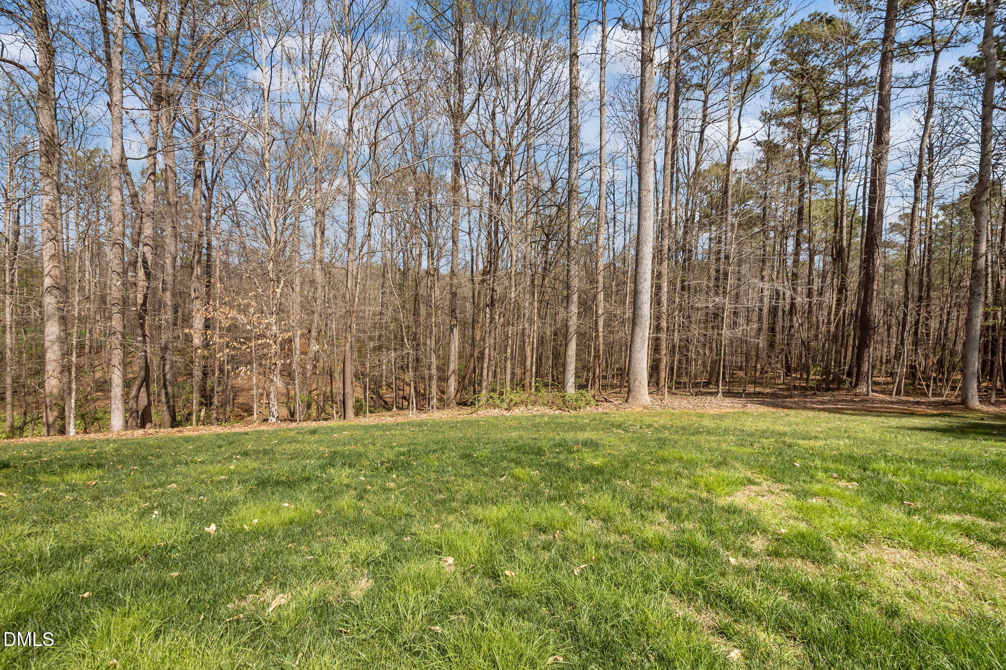 825 Oxbow Crossing Road Chapel Hill, NC 27516 - Photo 62 of 86 63-web-or-mls-P1113643