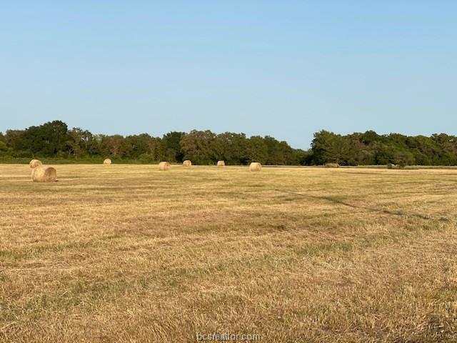 1290 Gun Range Road Somerville, TX 77879 - Photo 14 of 15 Gallery Image 14