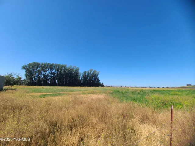 a view of an ocean from a yard