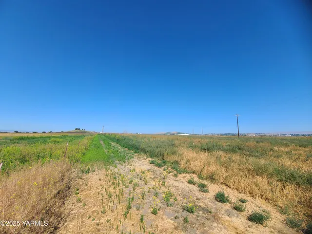 a view of a field with an ocean