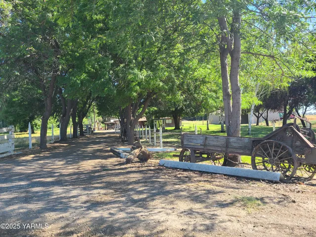 a view of a park with large trees