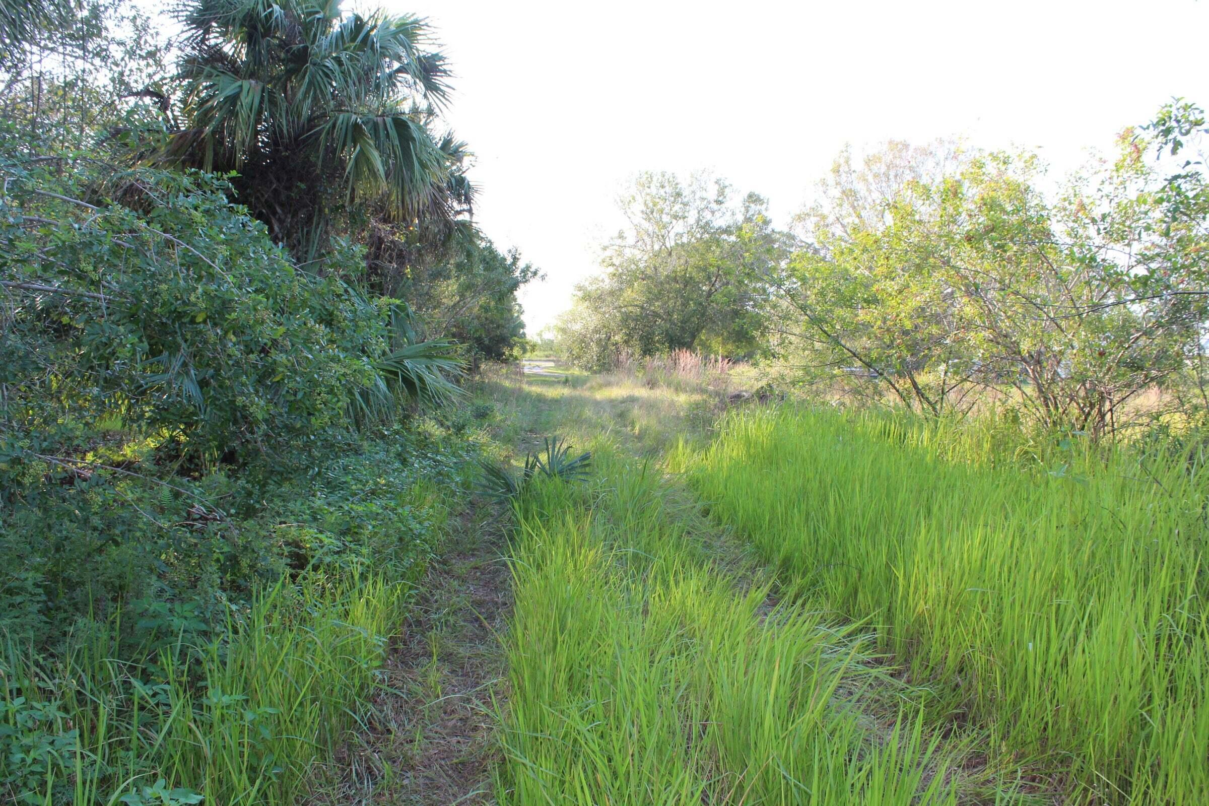 Tbd Pulitzer Road Fort Pierce, FL 34945 - Photo 5 of 18 20221206133658035041000000-o