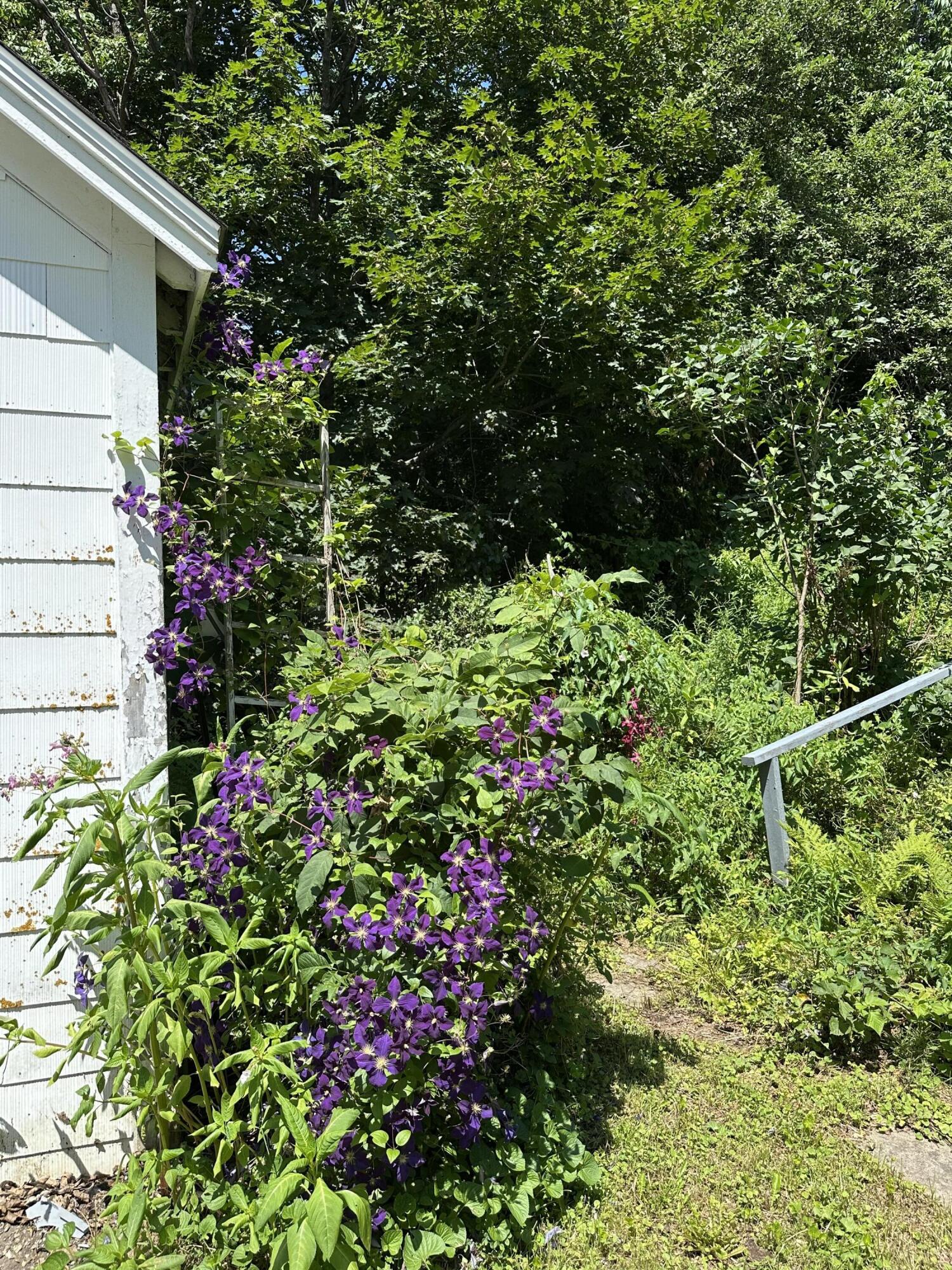 24 Old Rte One Waldoboro, ME 04572 - Photo 35 of 40