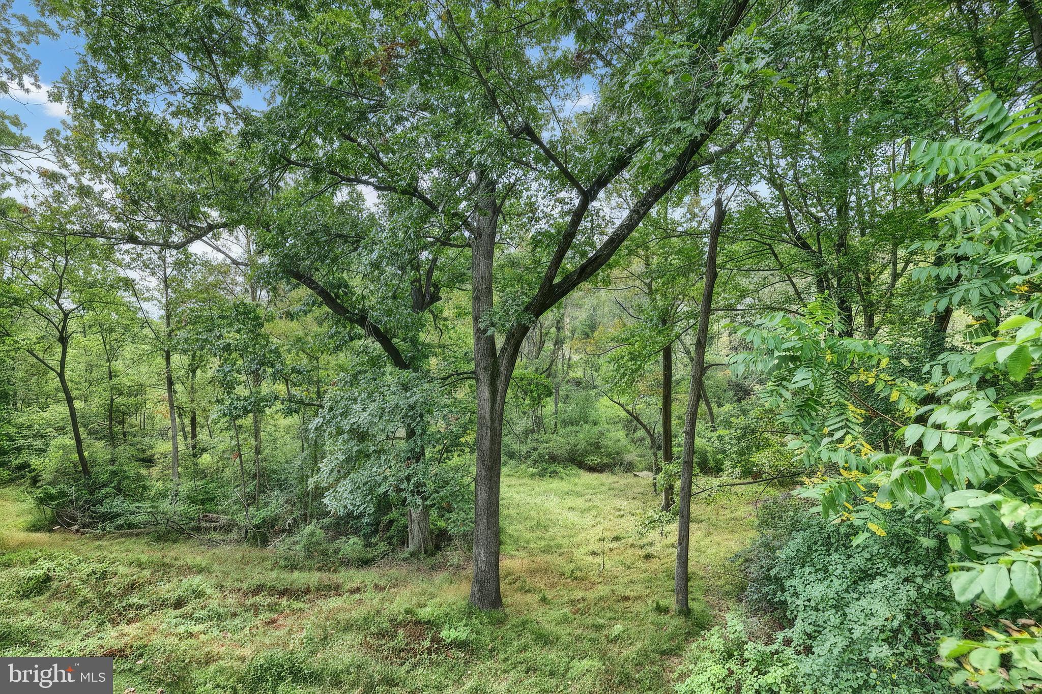14754 Lowe Road Stewartstown, PA 17363 - Photo 41 of 50 Gallery Image 41