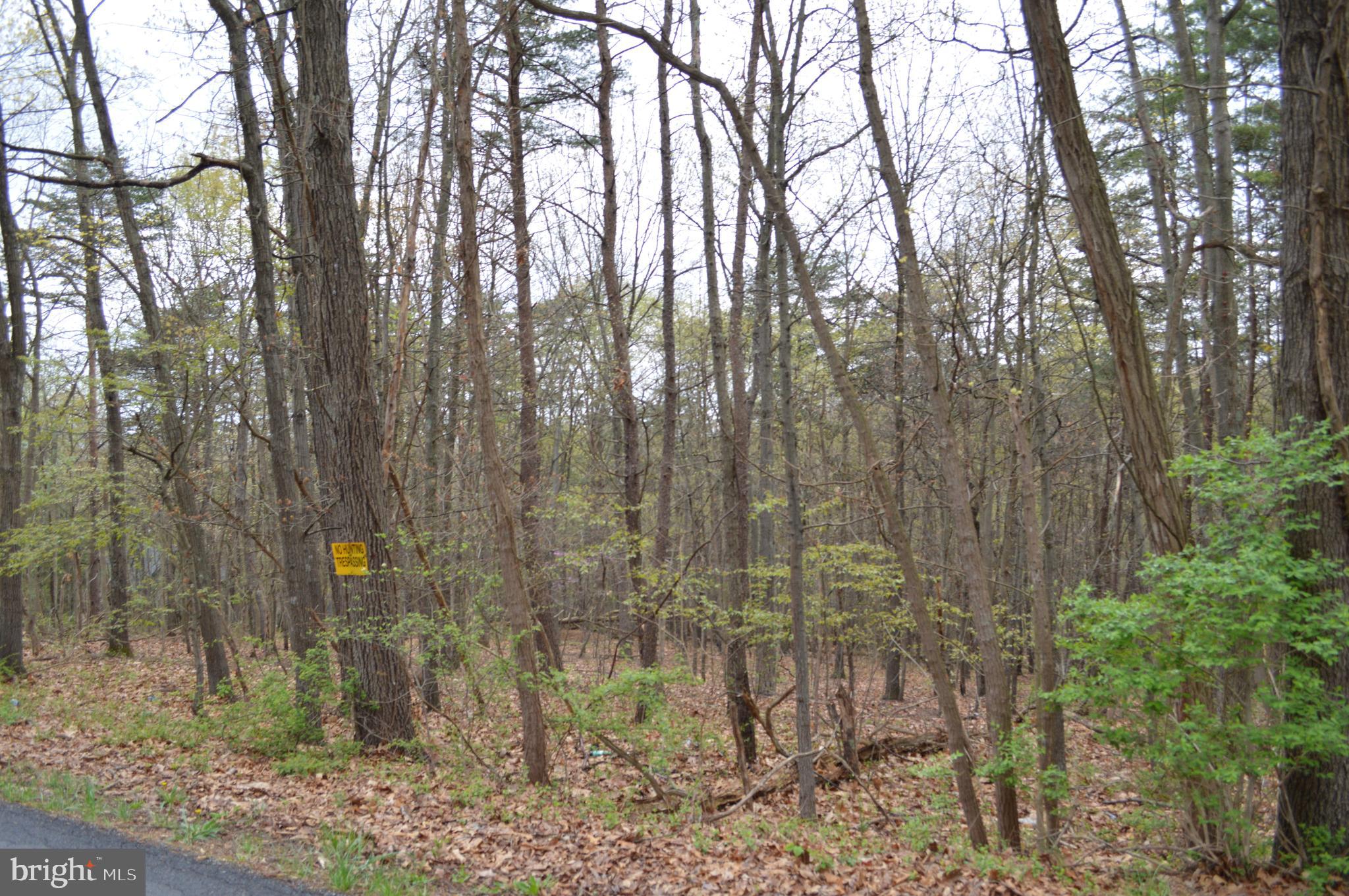 Pious Ridge Road Berkeley Springs, WV 25411 - Photo 2 of 7 Gallery Image 2