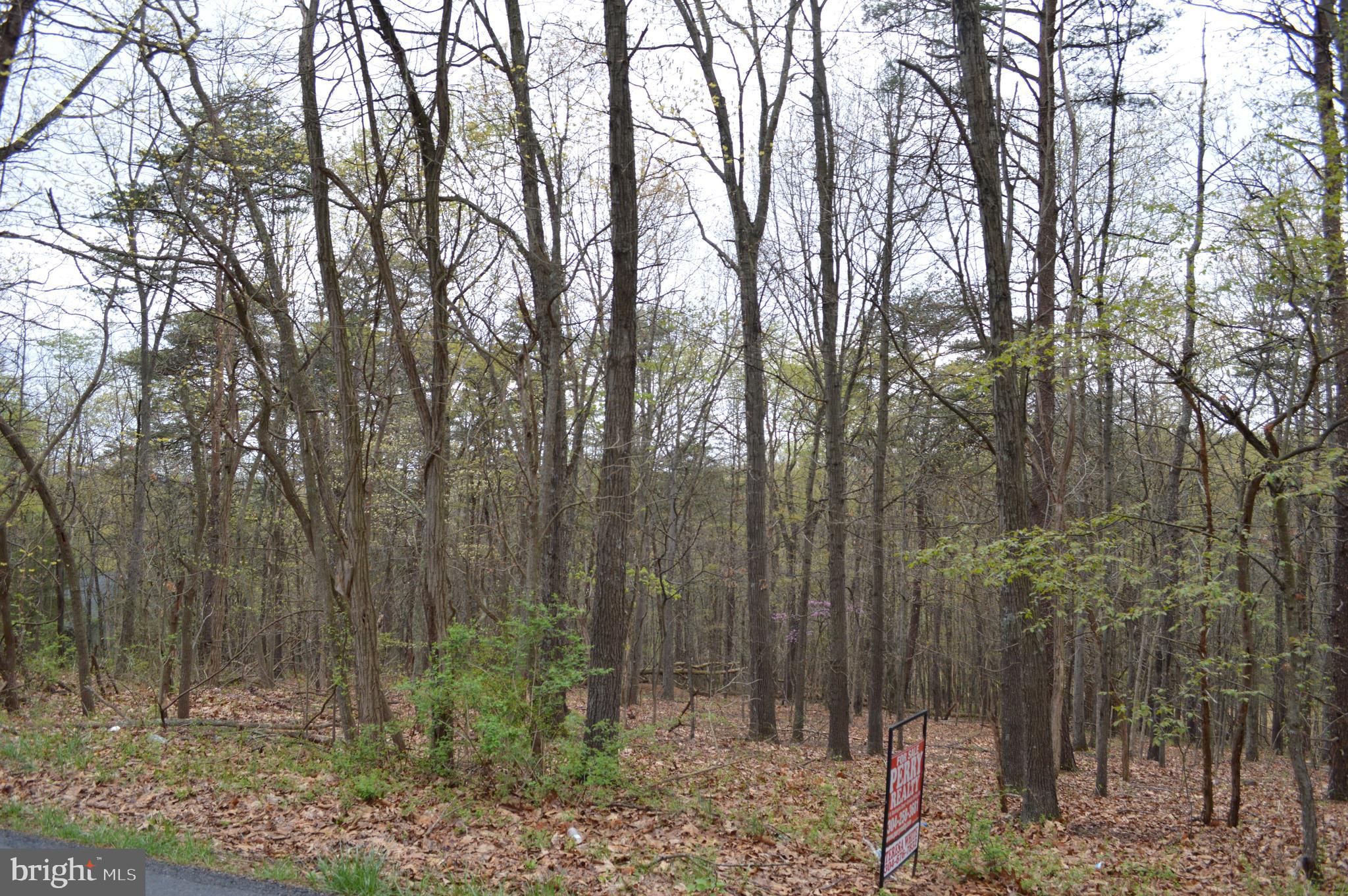 Pious Ridge Road Berkeley Springs, WV 25411 - Photo 4 of 7 Gallery Image 4