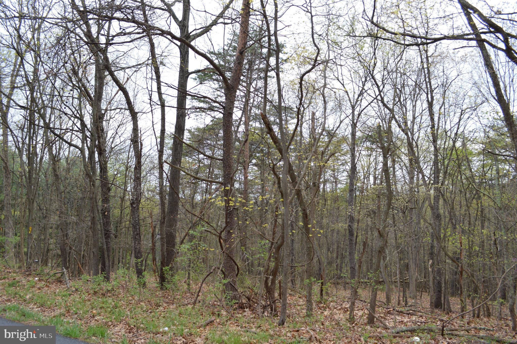 Pious Ridge Road Berkeley Springs, WV 25411 - Photo 6 of 7 Gallery Image 6