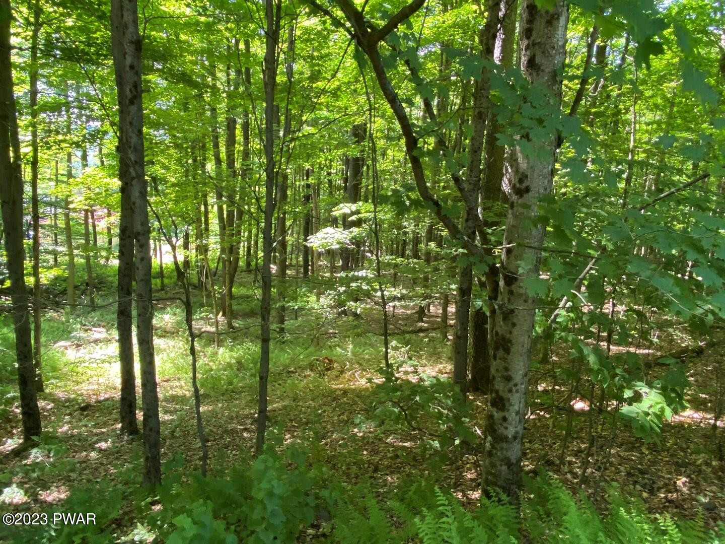Timbertop Acres Newfoundland, PA 18445 - Photo 5 of 23