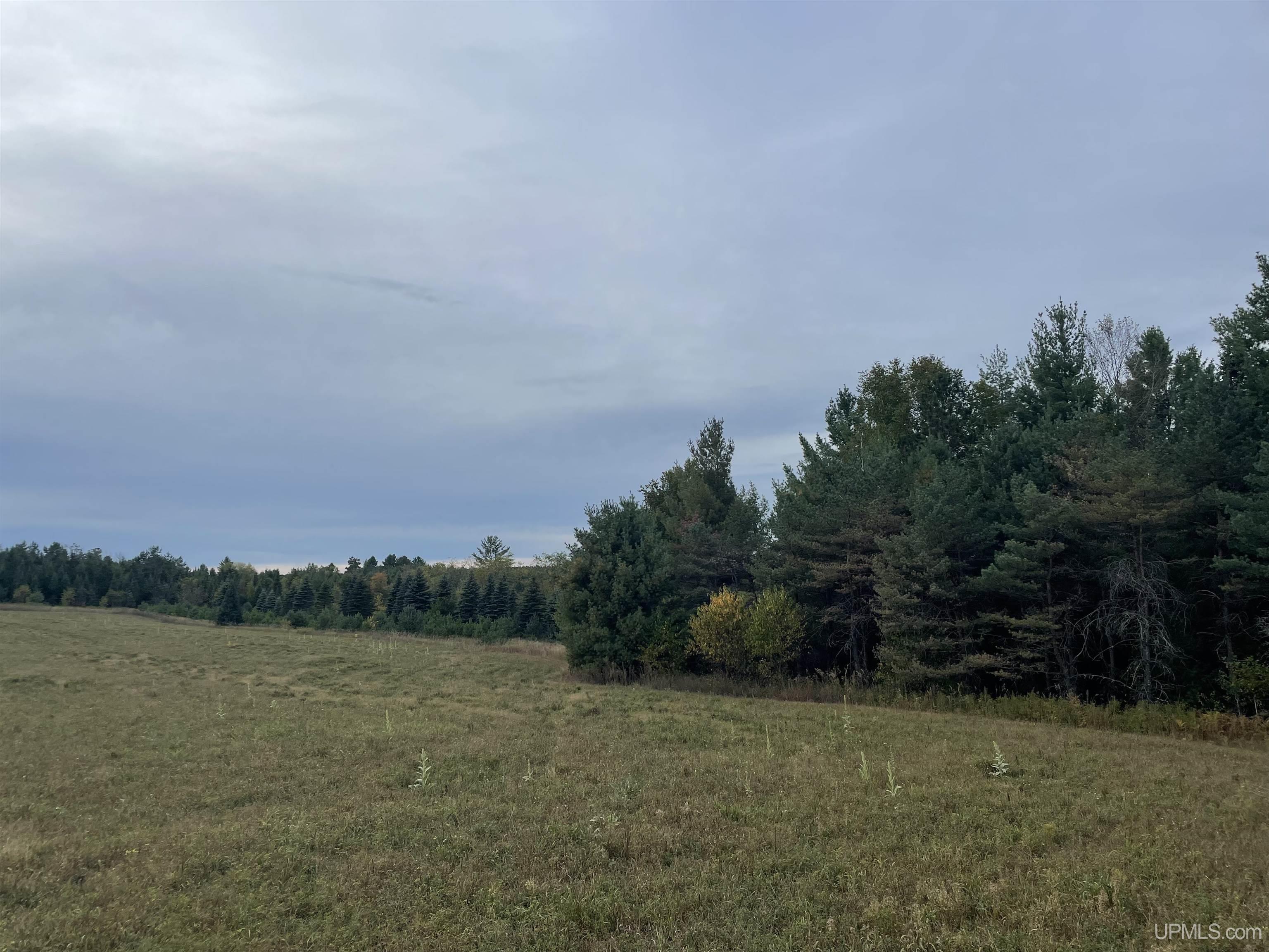W6367 County Z Road Pembine, WI 54156 - Photo 27 of 35 Gallery Image 27