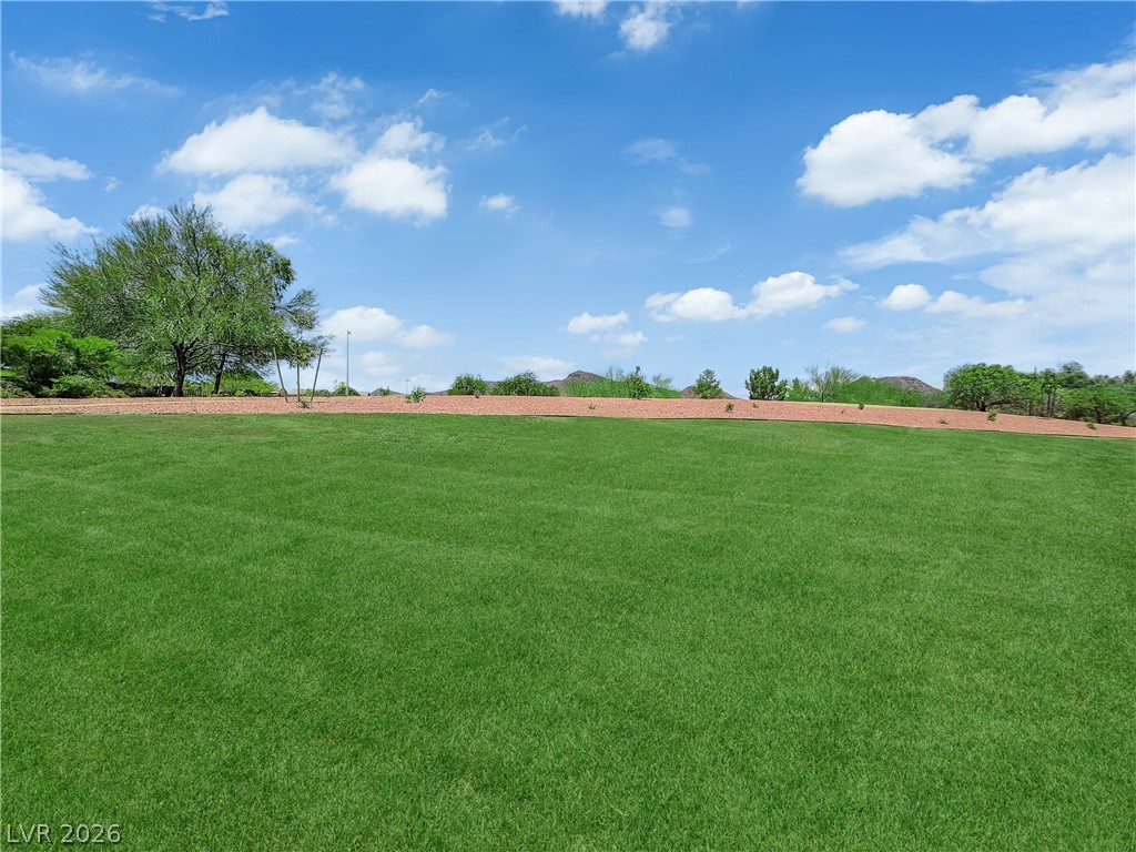 646 Monument Point Street Henderson, NV 89002 - Photo 37 of 44 A spacious green lawn provides a blank canvas for outdoor aspirations.
