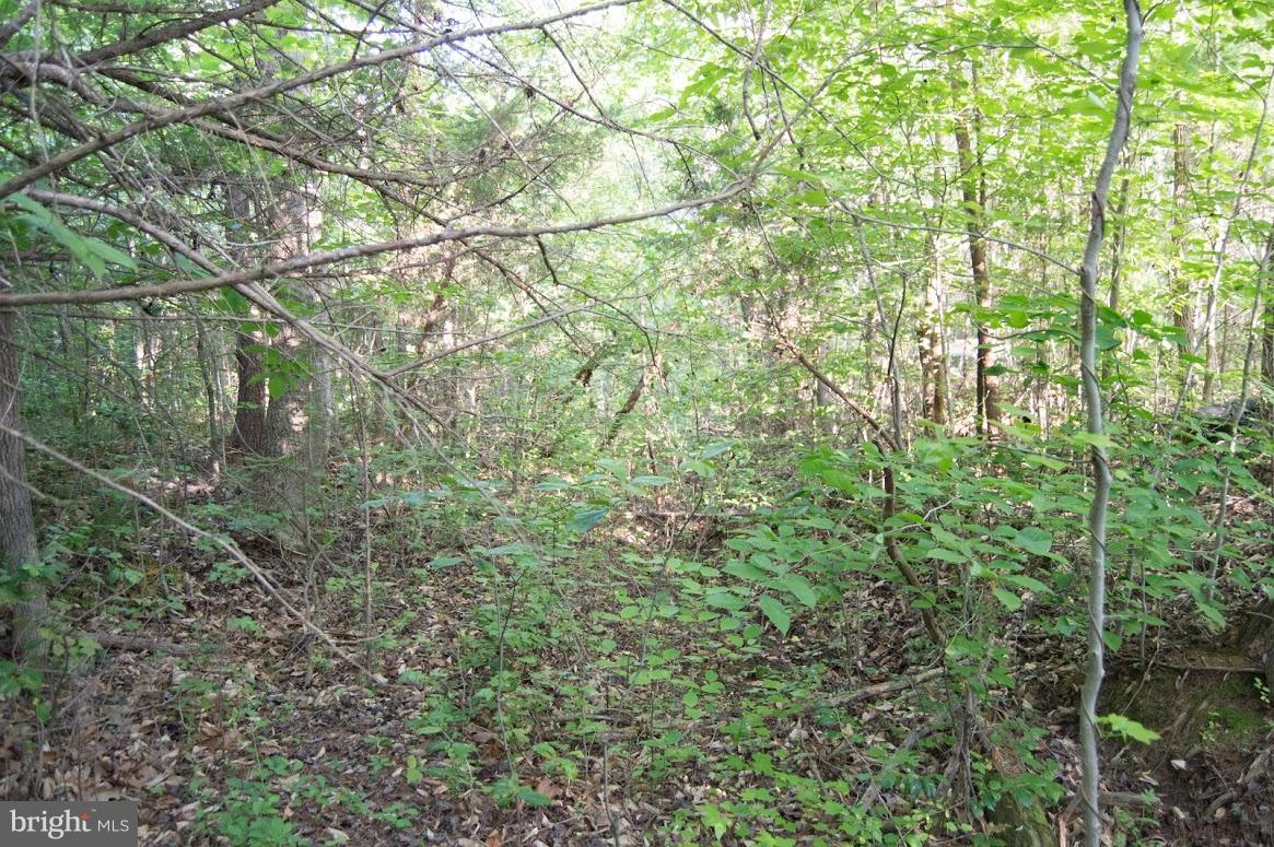 Grogan Lane King George, VA 22485 - Photo 19 of 27 Lot 65A