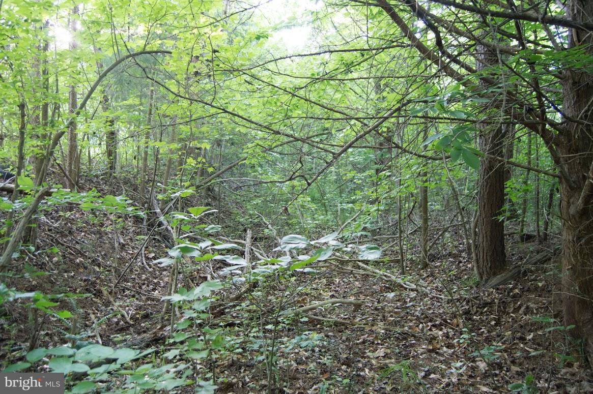 Grogan Lane King George, VA 22485 - Photo 20 of 27 Lot 65A