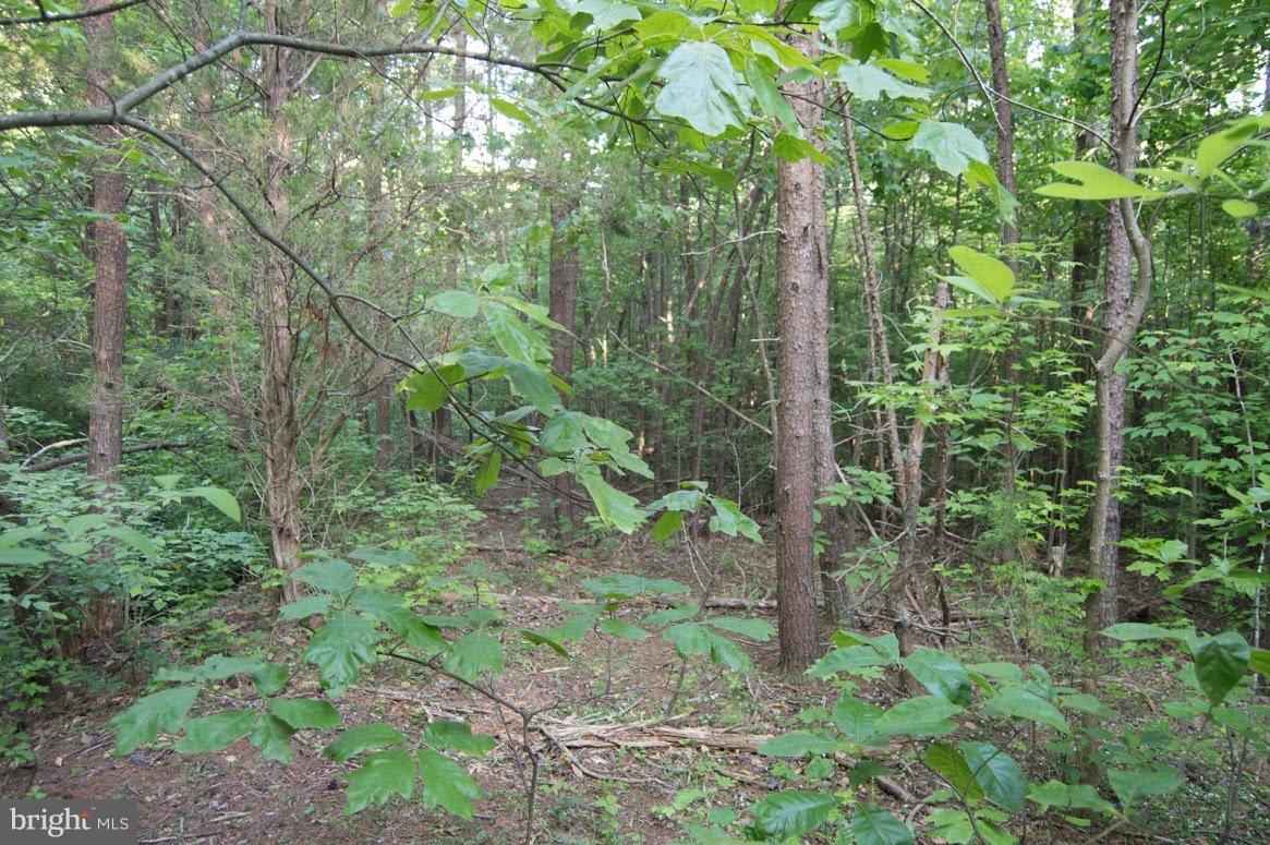 Grogan Lane King George, VA 22485 - Photo 21 of 27 Lot 65A